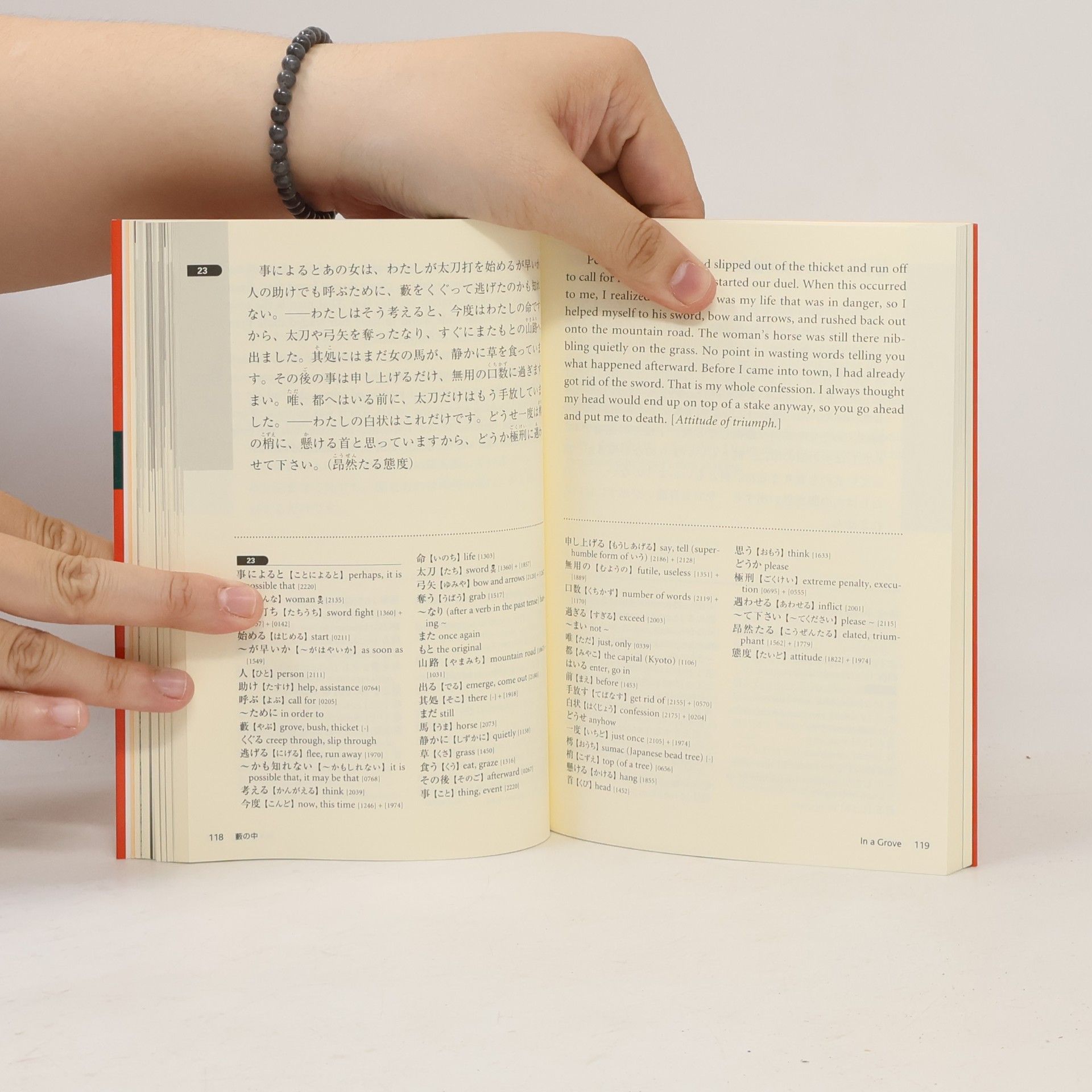 Giles Murray Breaking into Japanese Literature