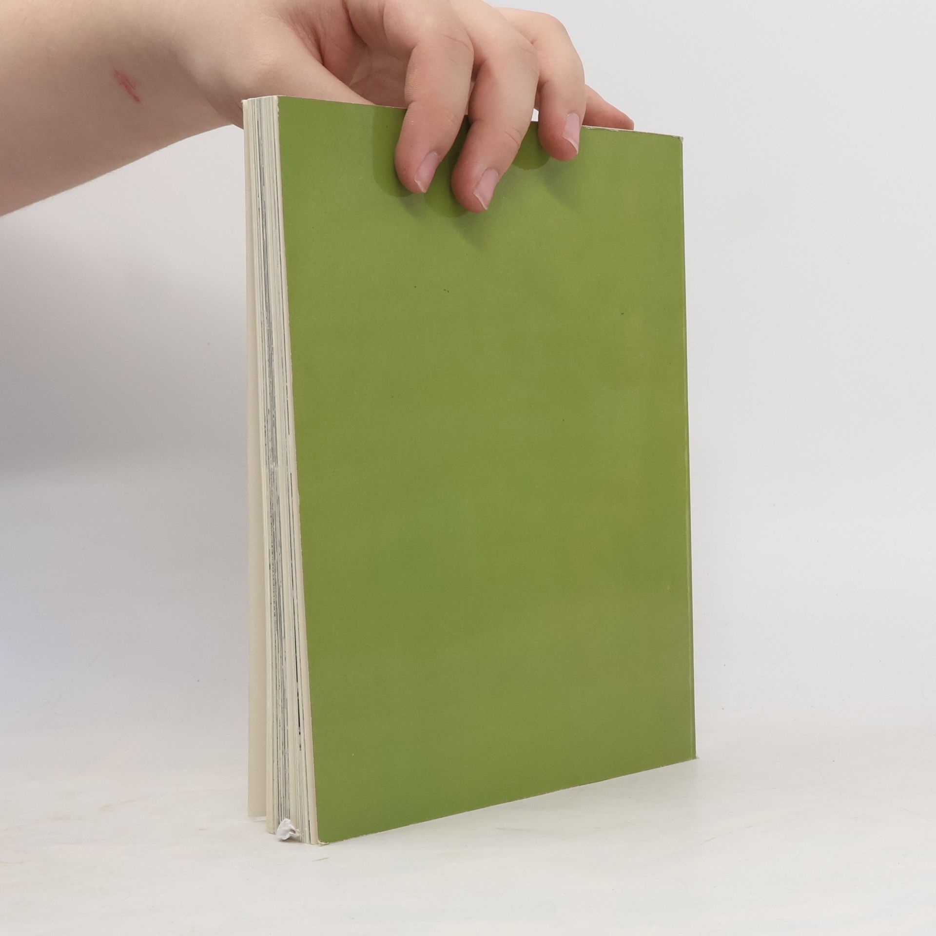 Auteurscollectief Geschichte und Sozialkunde
