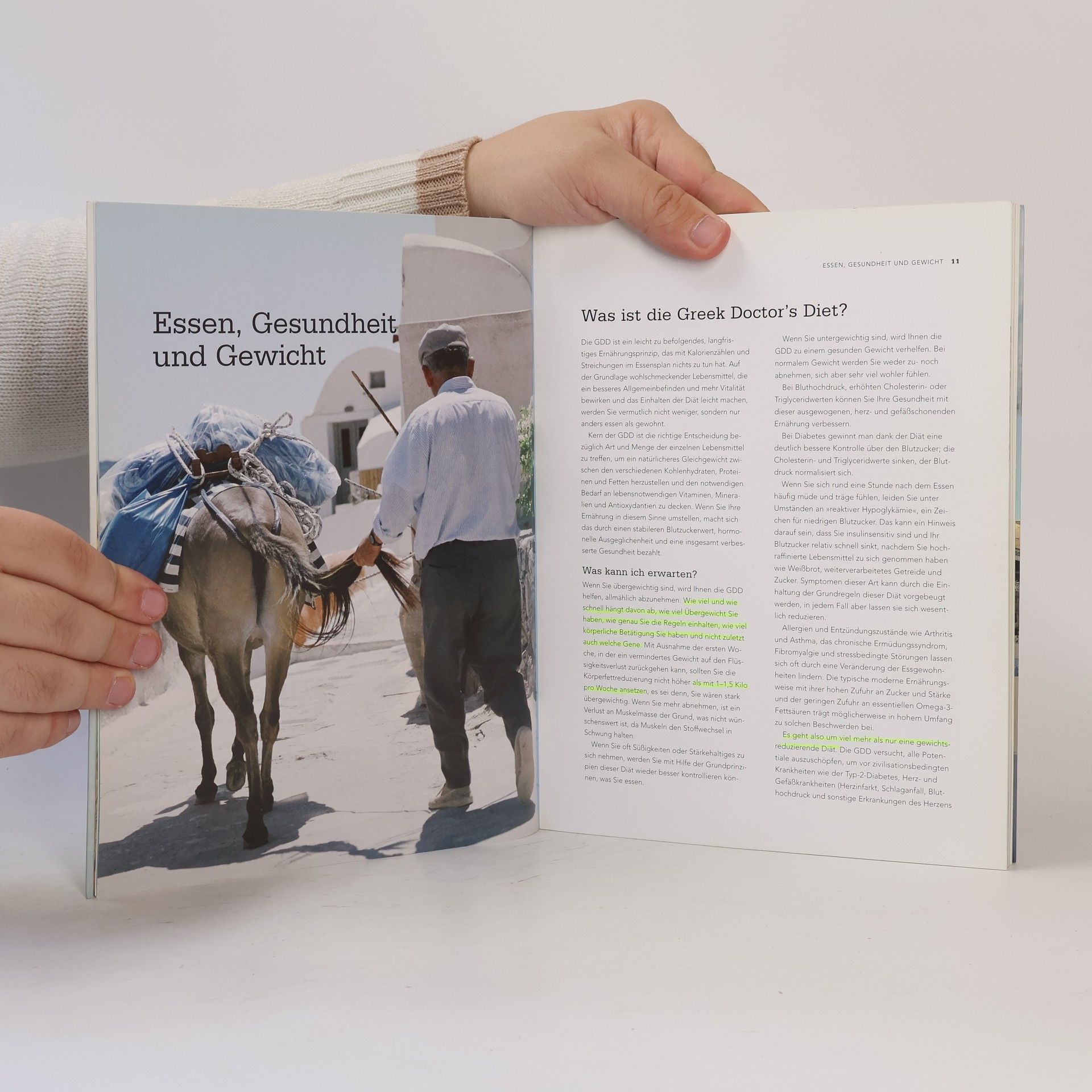 Fedon Alexander Lindberg Greek doctor's diet - das Kochbuch