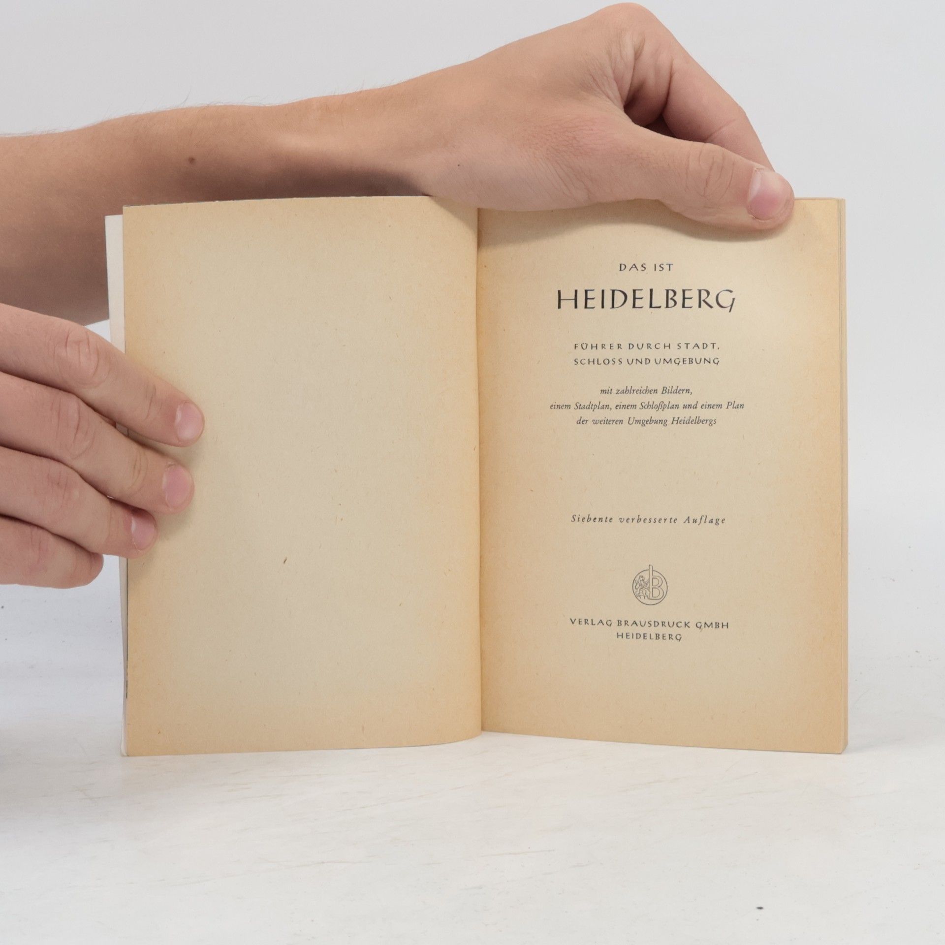 Kolektív autorov Heidelberg