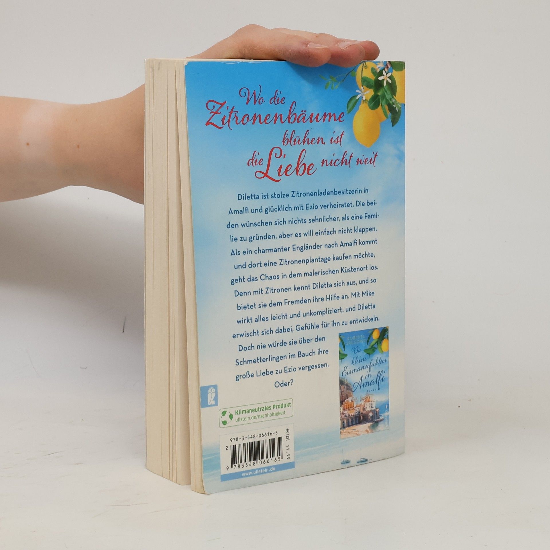 Roberta Gregorio Die Zitronenblüten von Amalfi (Kleine Läden in Amalfi 3)