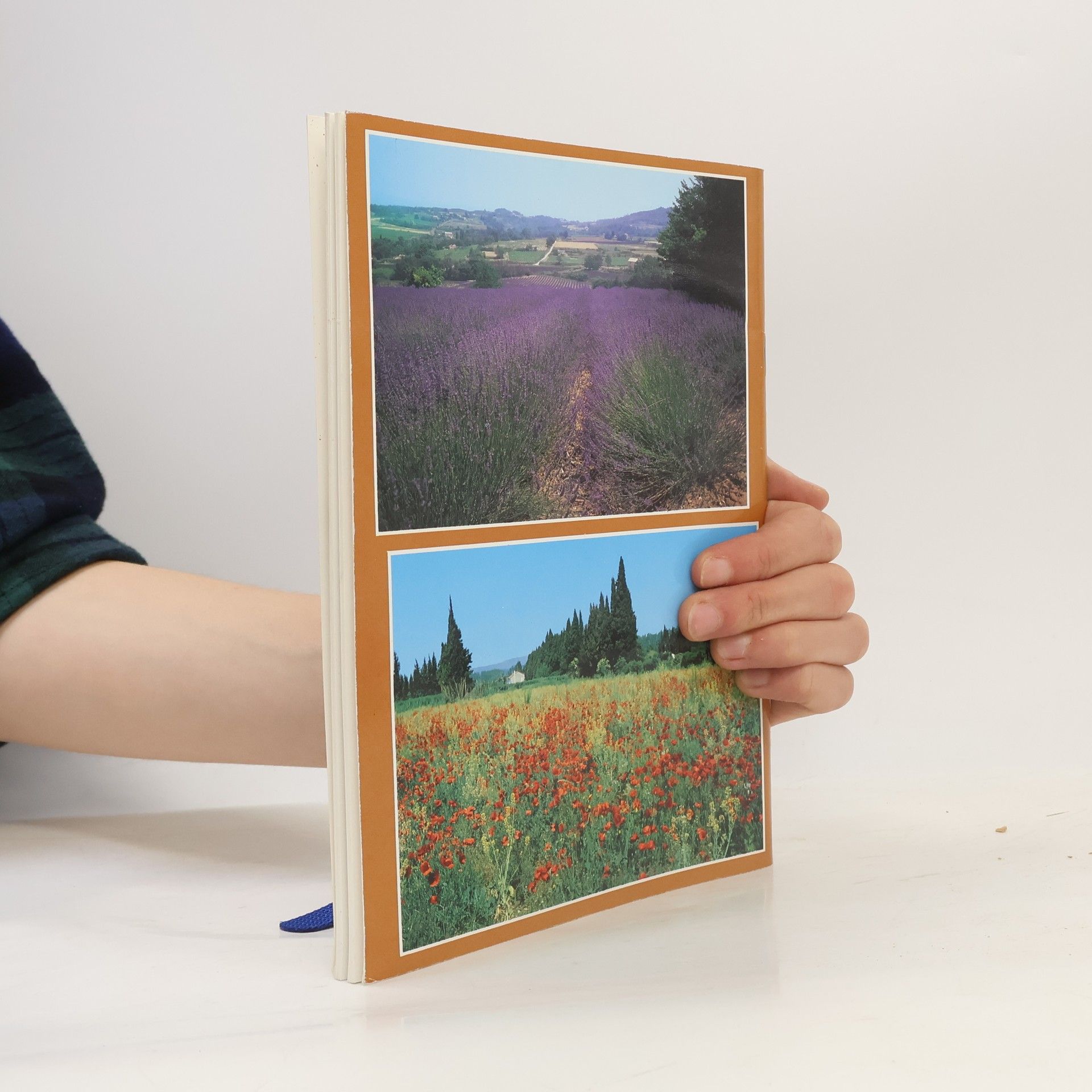 Marc Guitteny Kräuter und Pflanzen aus der Provence