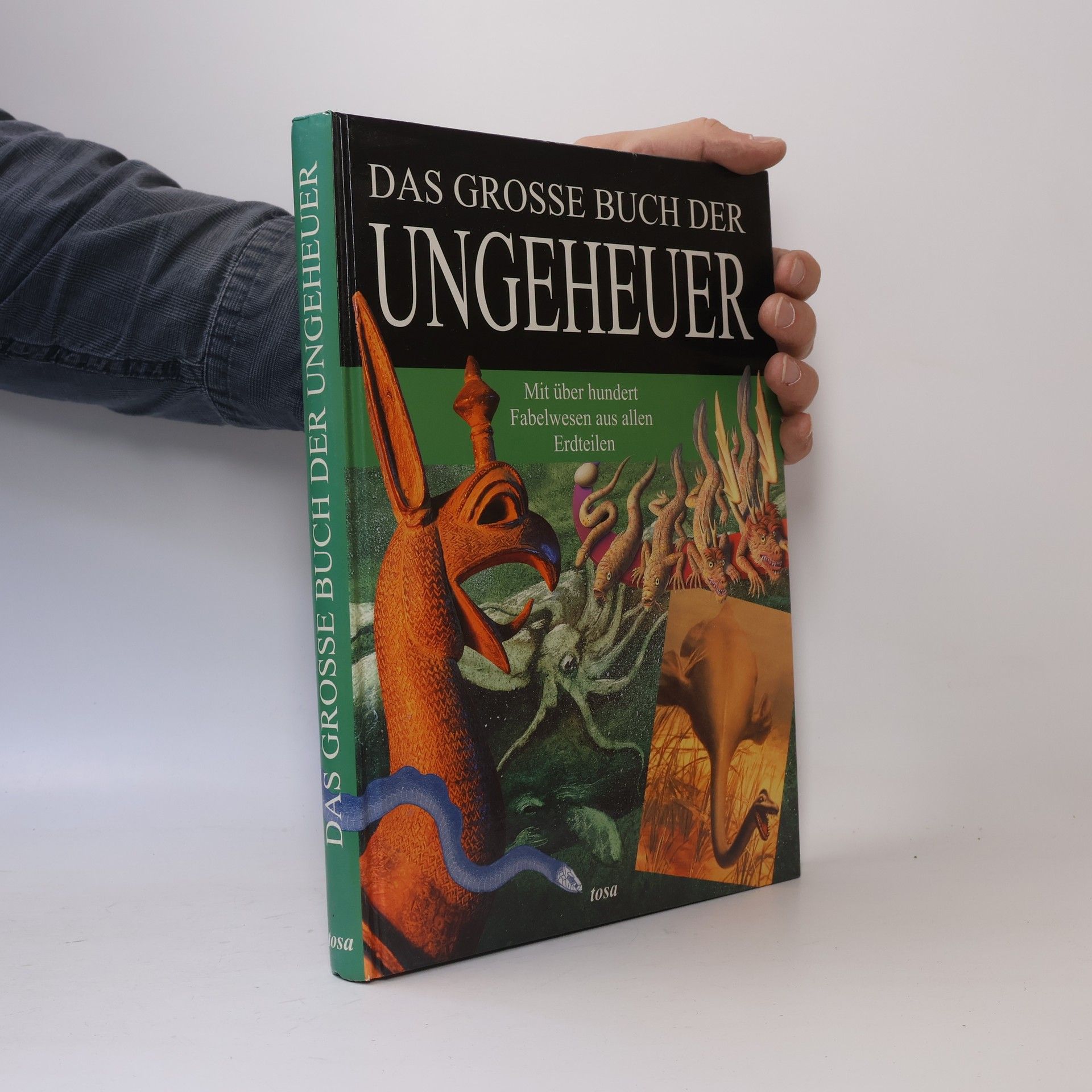 Joel Levy Das große Buch der Ungeheuer