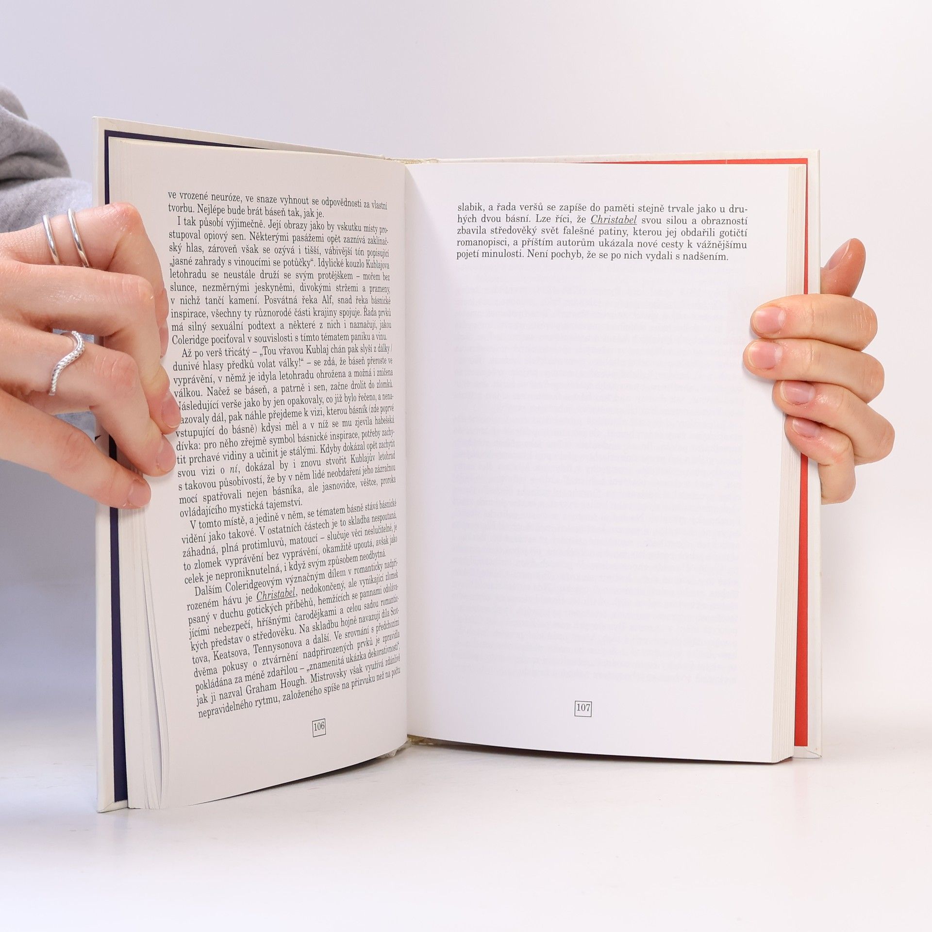 Robert Barnard Stručné dějiny anglické literatury