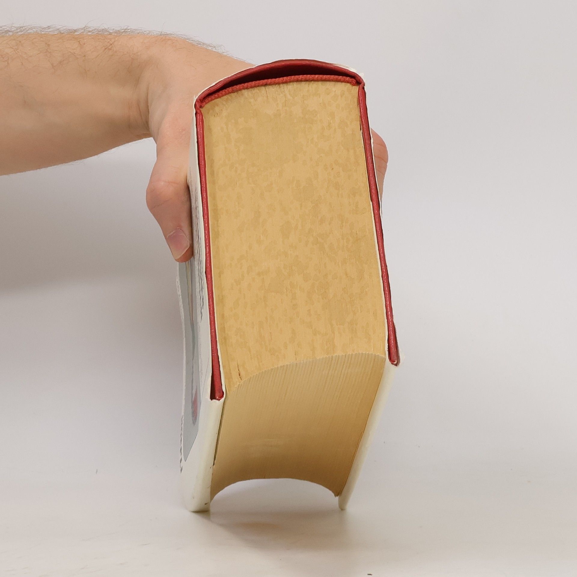 Collectif d'auteurs Technisches Wörterbuch