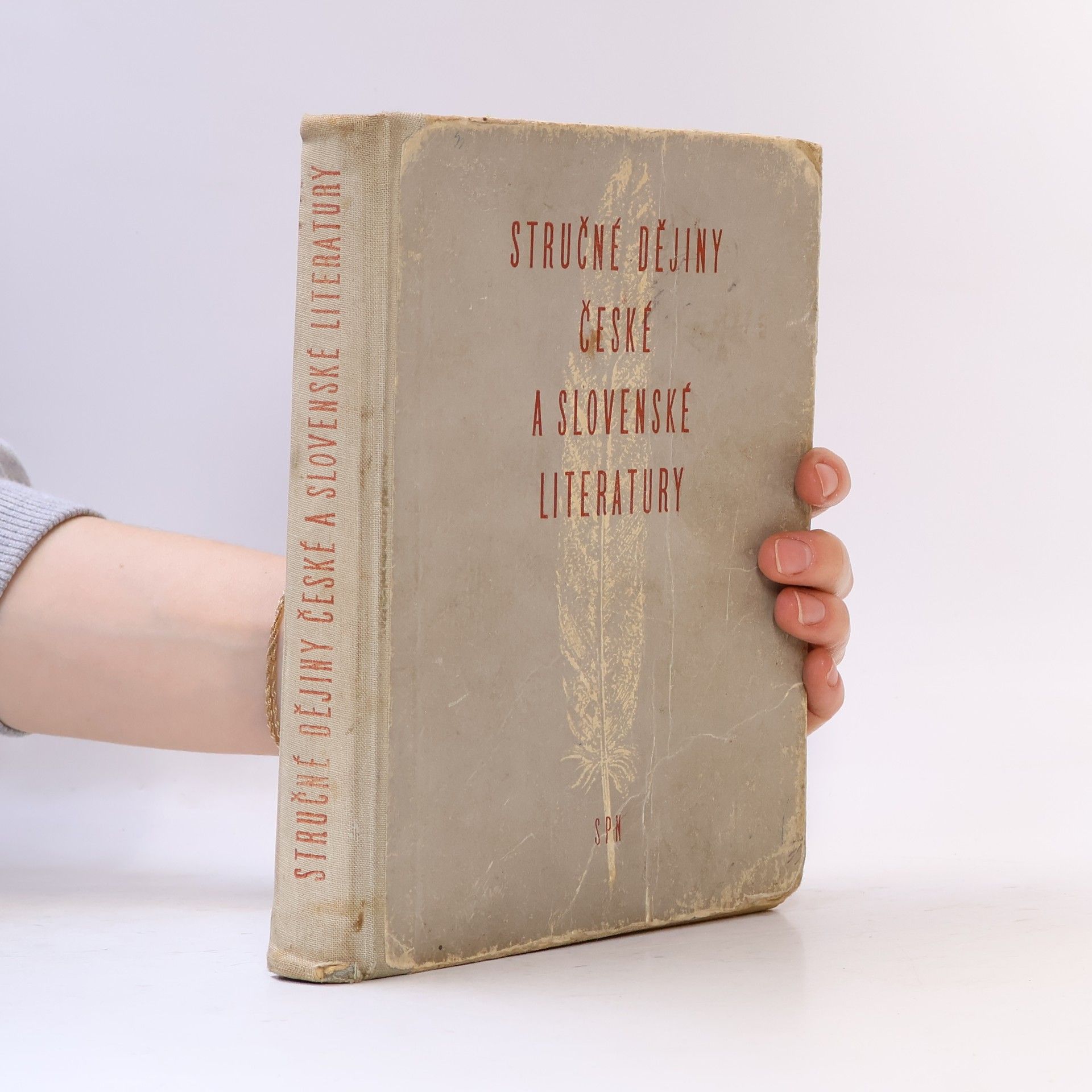 Vítězslav Tichý Stručné dějiny české a slovenské literatury