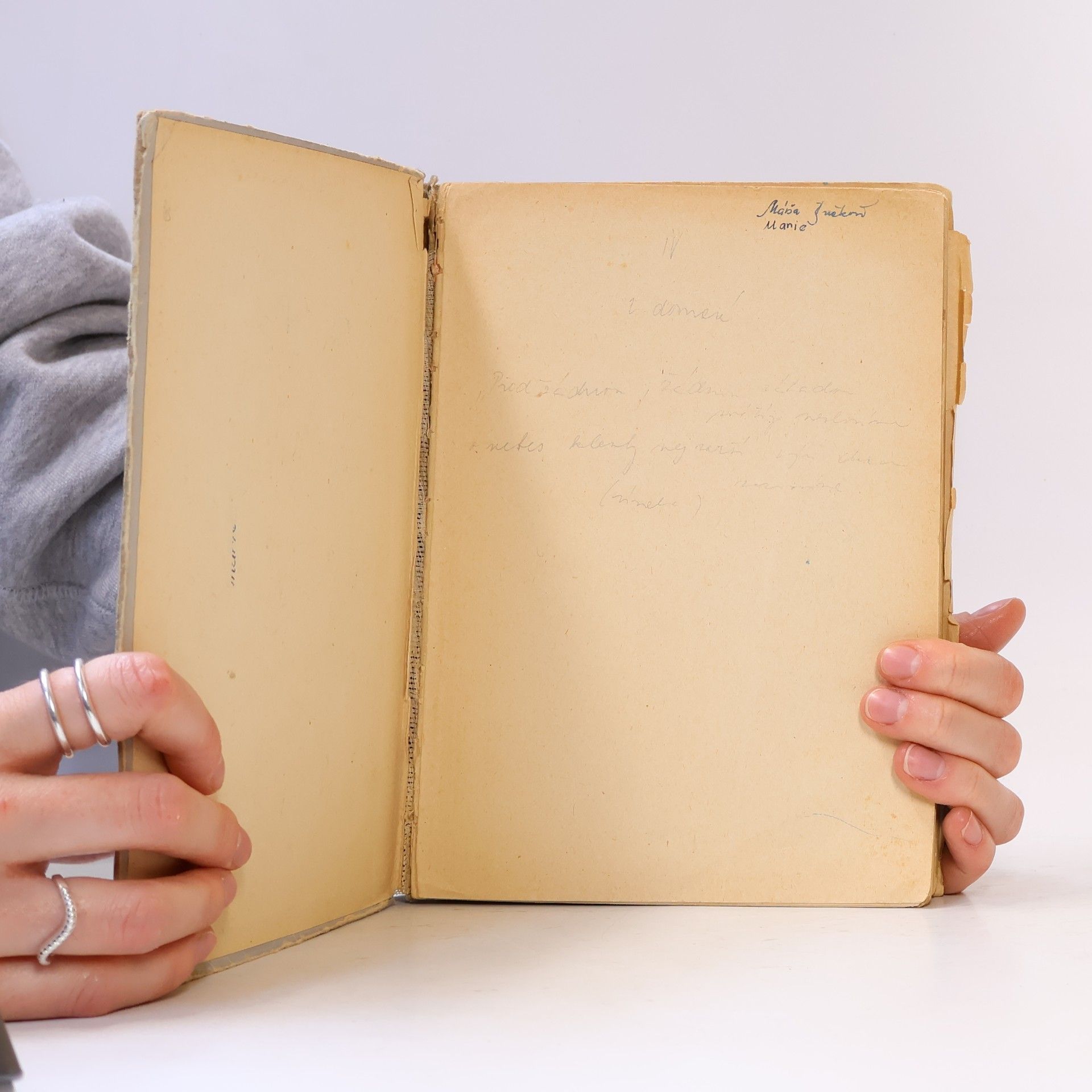 Vítězslav Tichý Stručné dějiny české a slovenské literatury