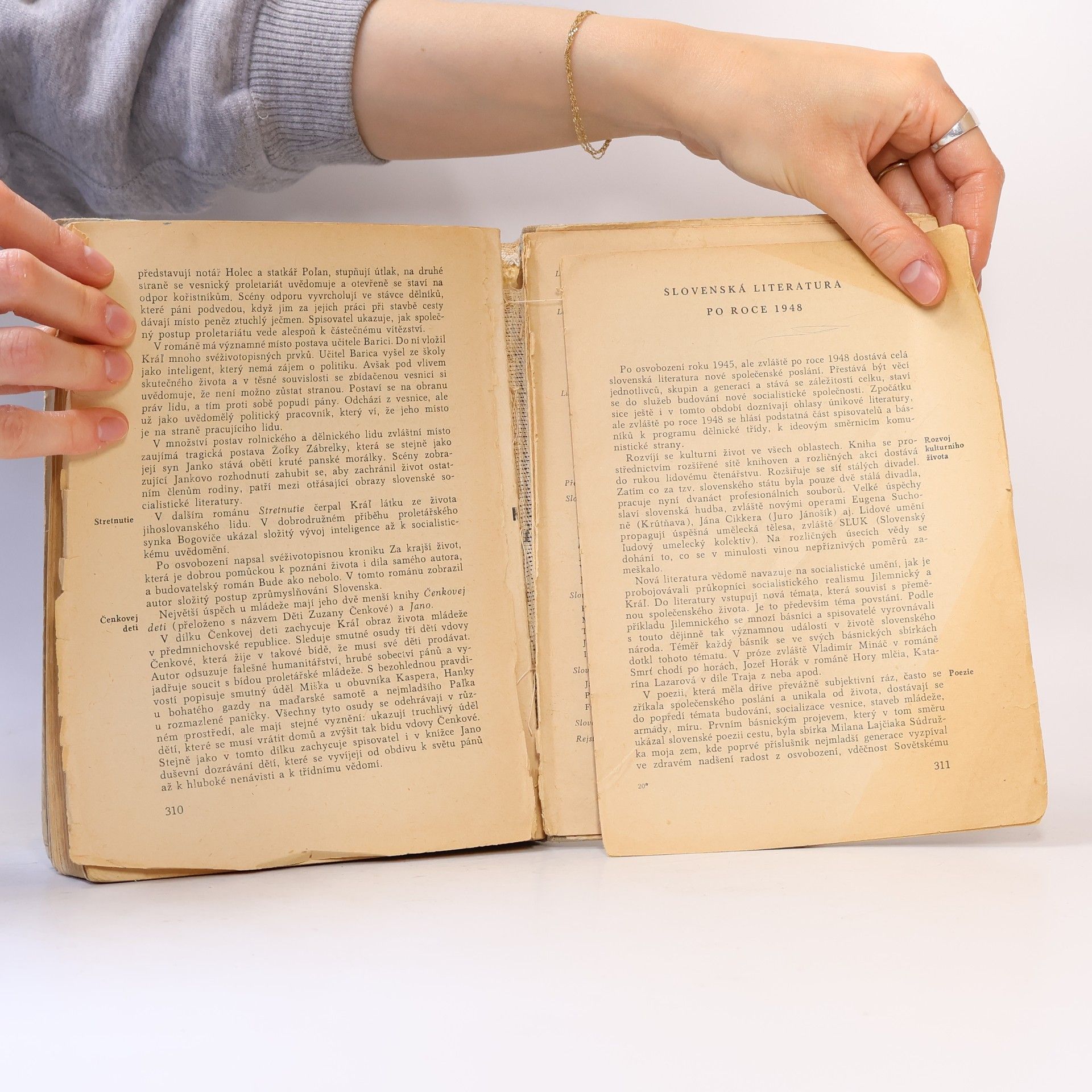 Vítězslav Tichý Stručné dějiny české a slovenské literatury