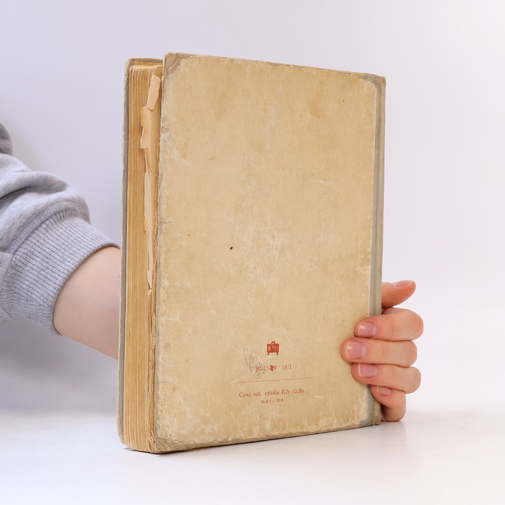 Vítězslav Tichý Stručné dějiny české a slovenské literatury