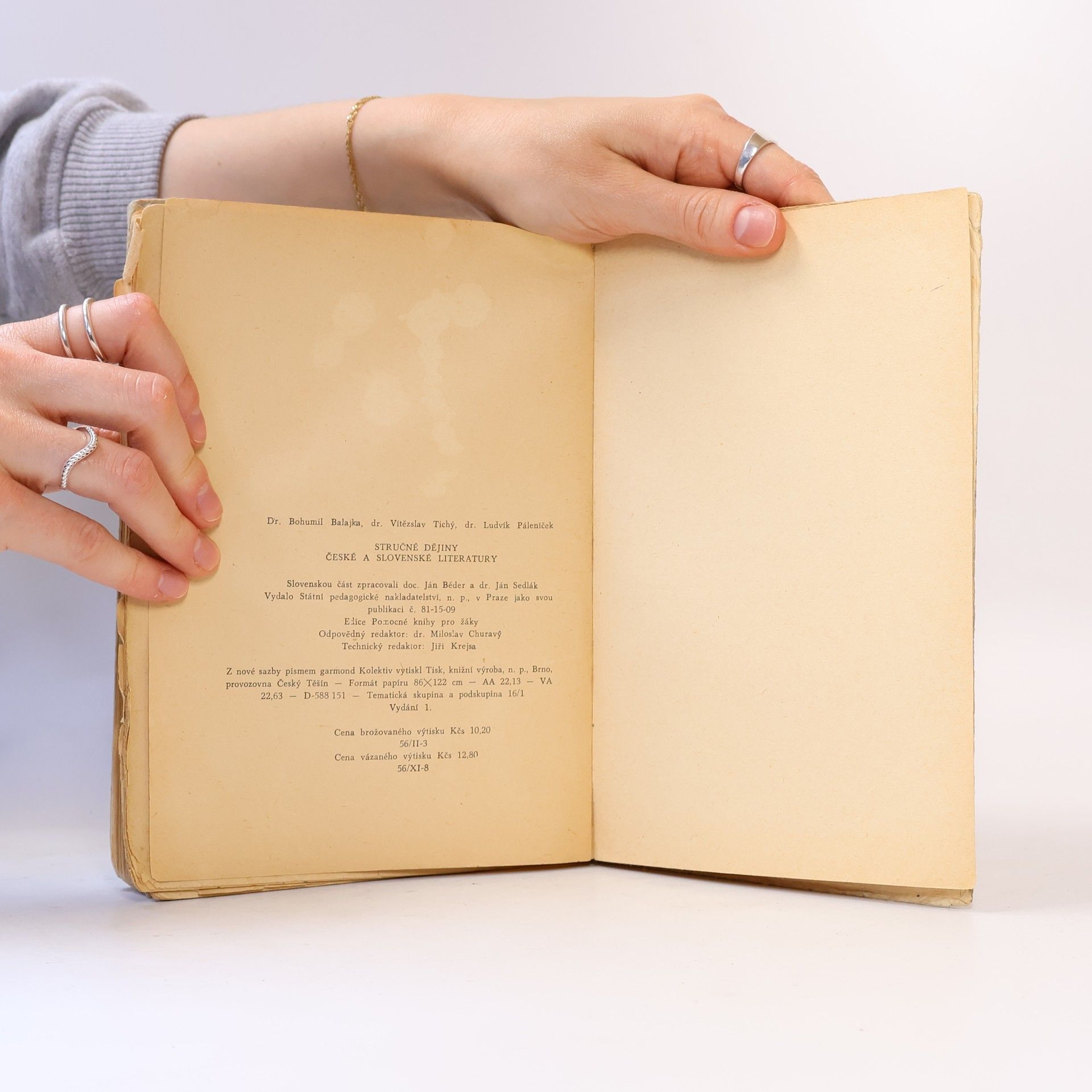 Vítězslav Tichý Stručné dějiny české a slovenské literatury