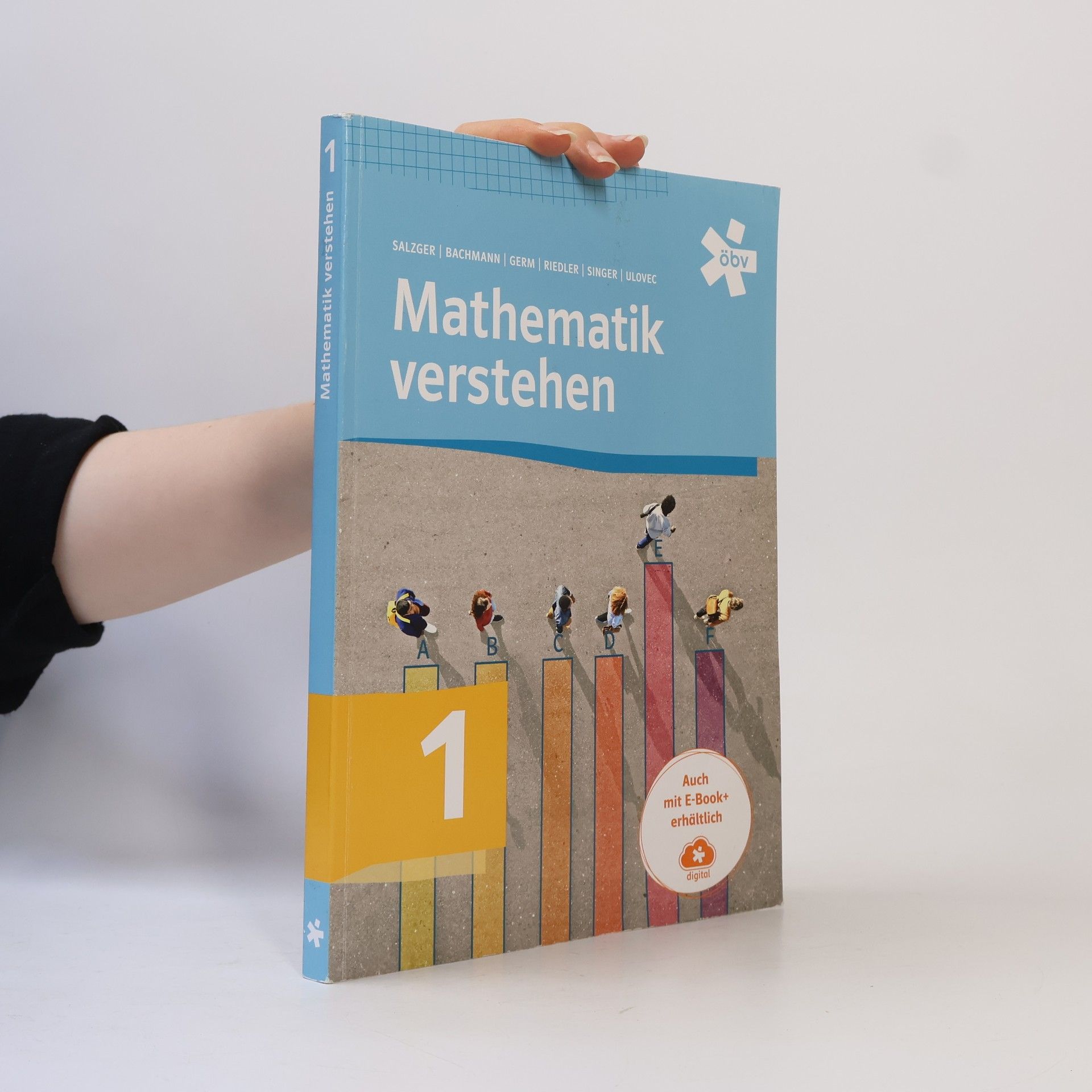 Kolektiv autorů Mathematik verstehen