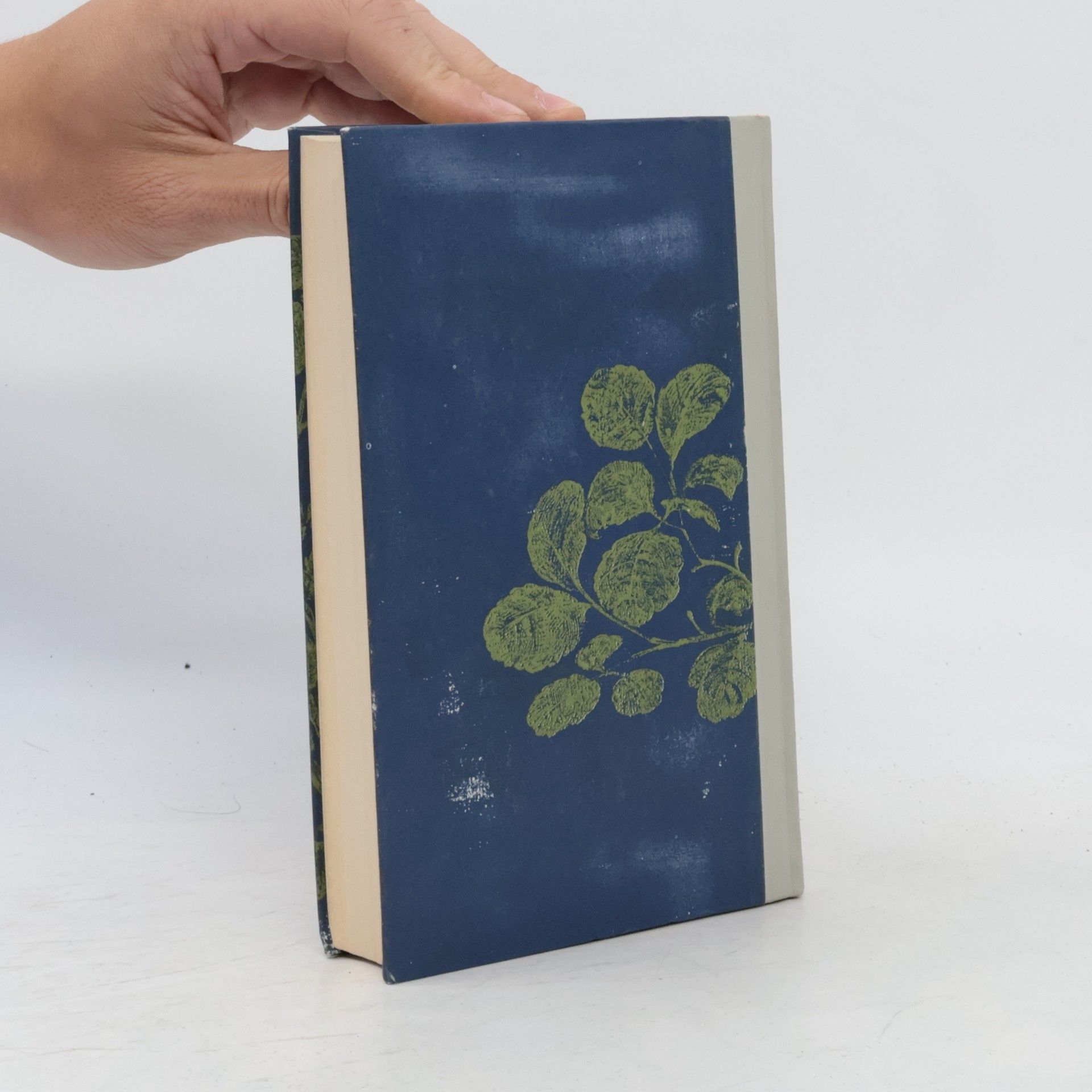Harper Lee Wer die Nachtigall stört