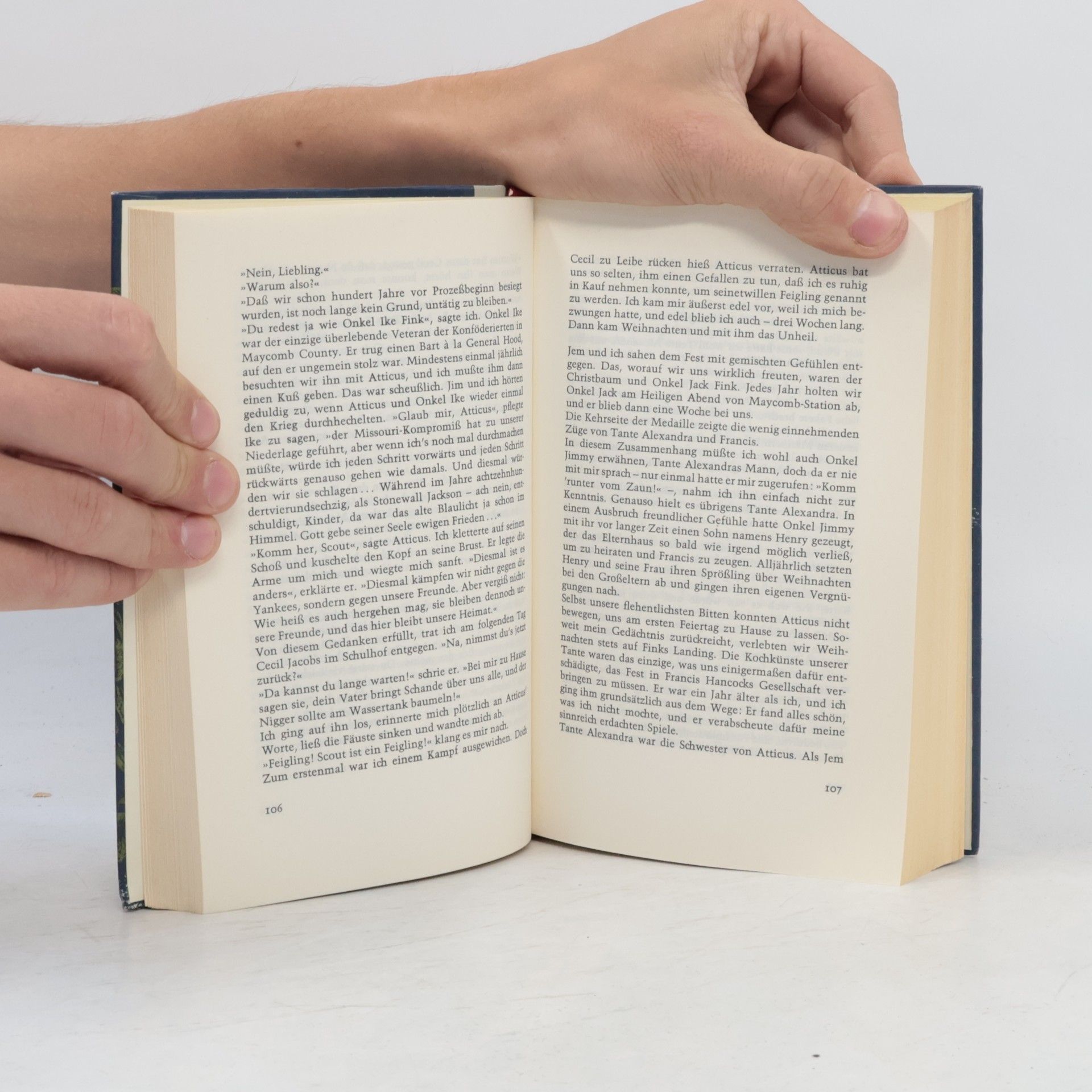 Harper Lee Wer die Nachtigall stört