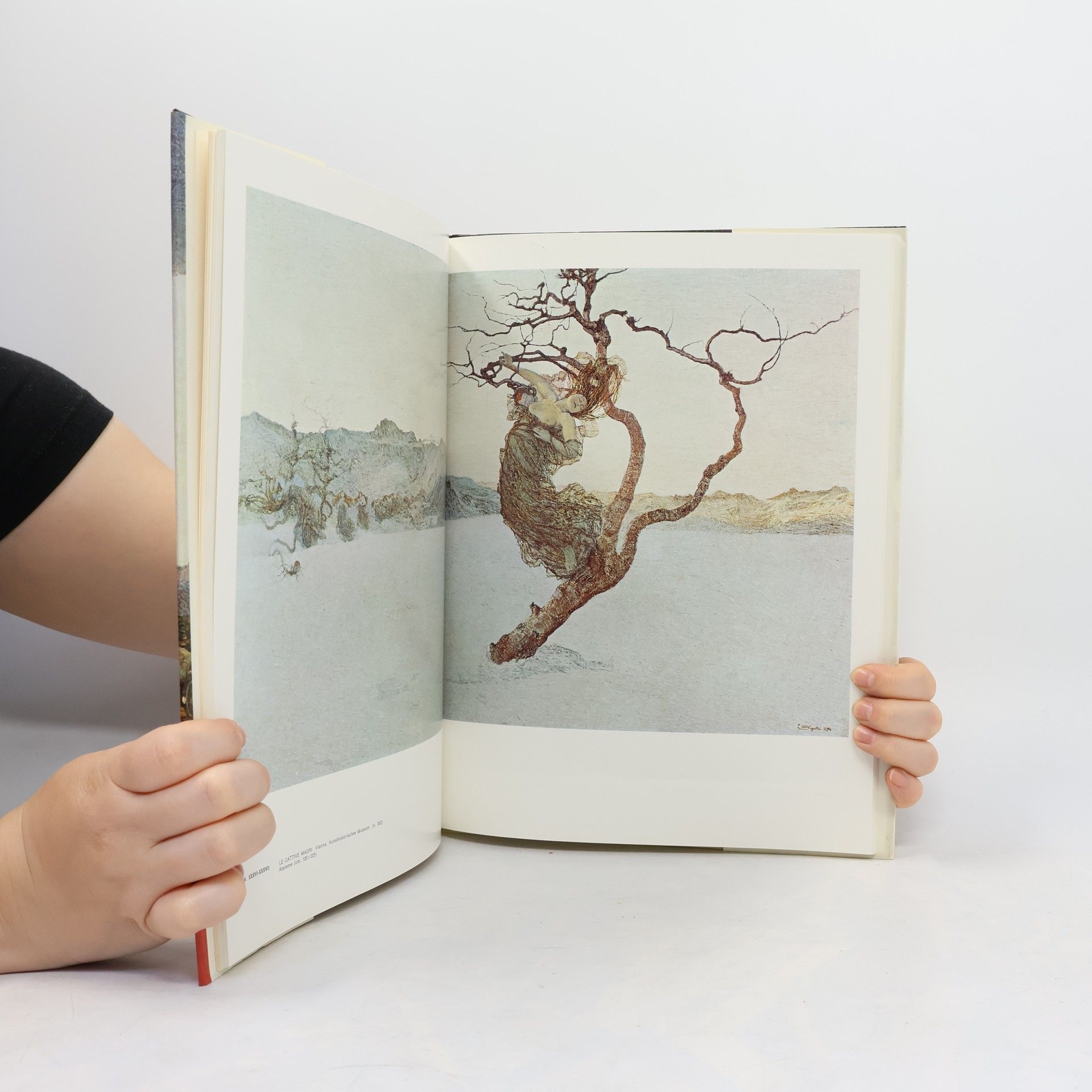 Autorenkollektiv L’opera completa di Segantini