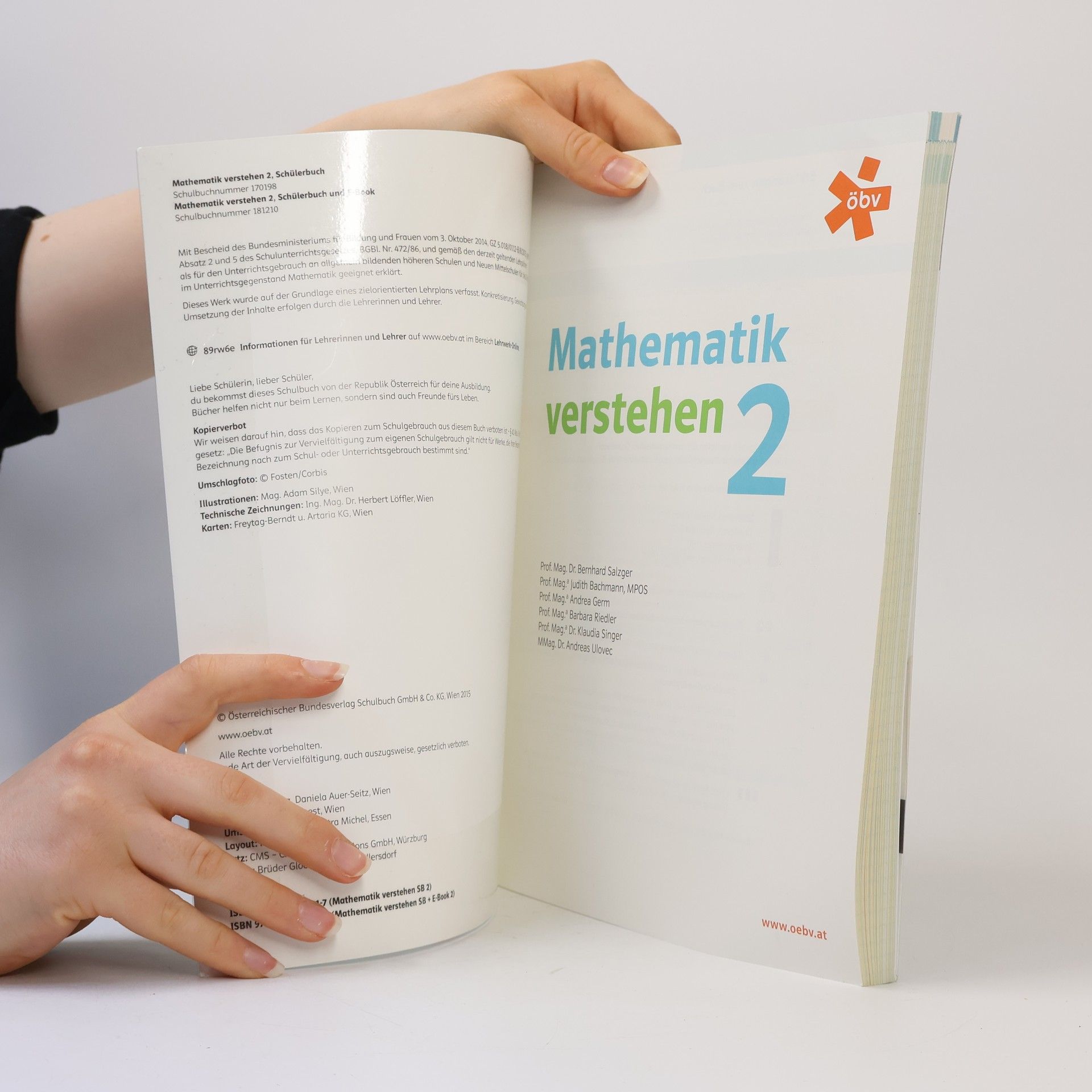 Bernhard Salzger Mathematik verstehen. Schülerbuch 2