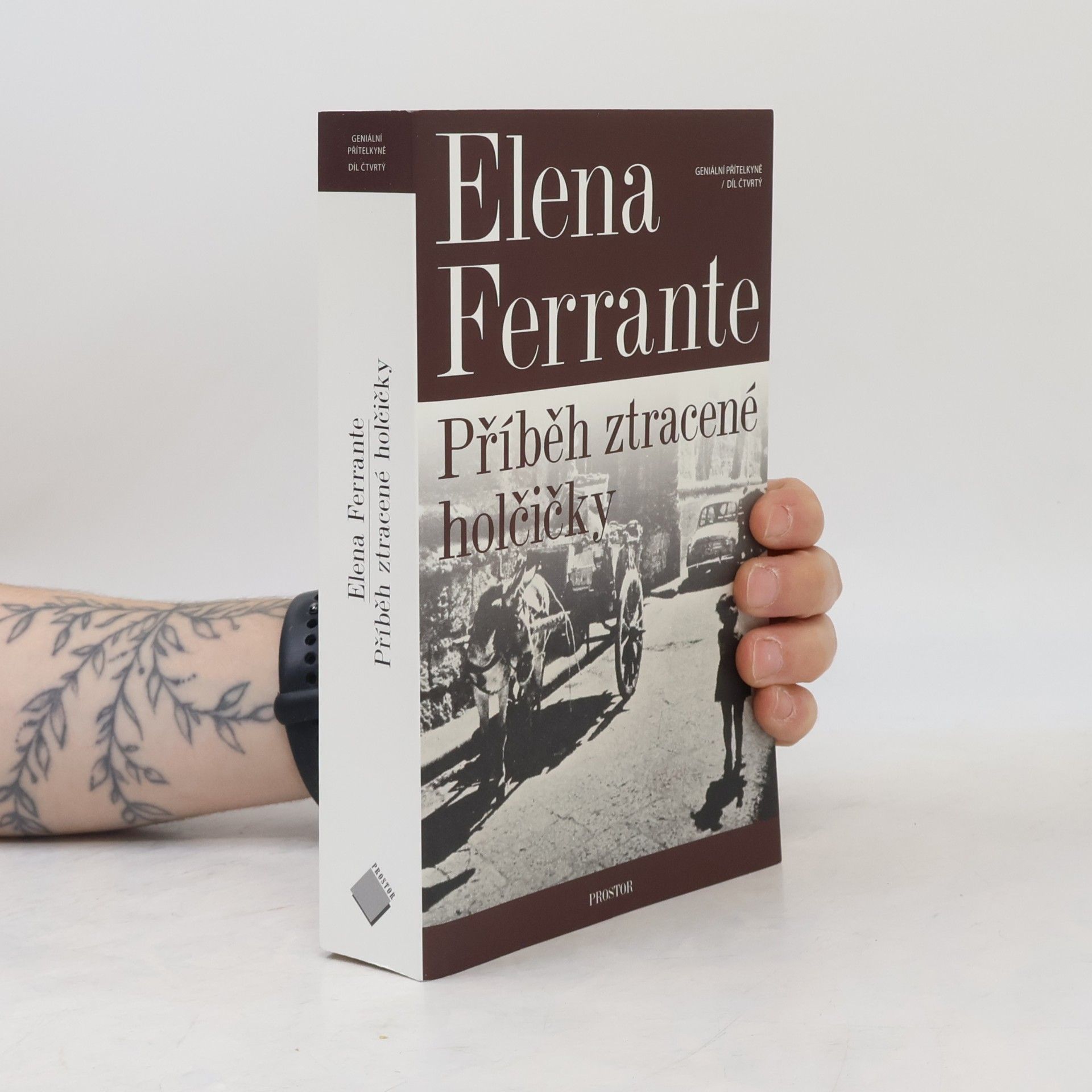 Elena Ferrante Příběh ztracené holčičky. Geniální přítelkyně. 4. díl