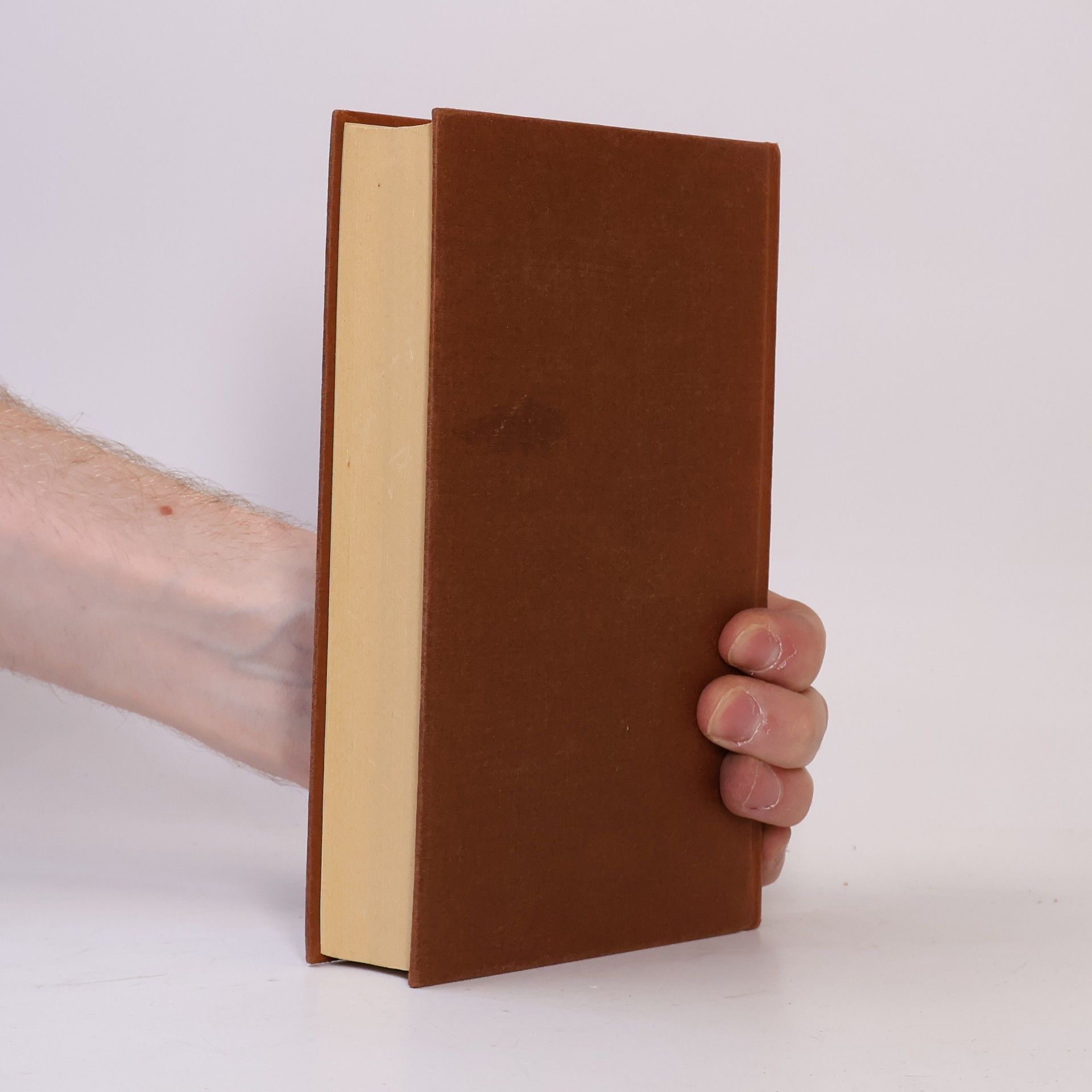 José Ortega y Gasset Die Hauptwerke
