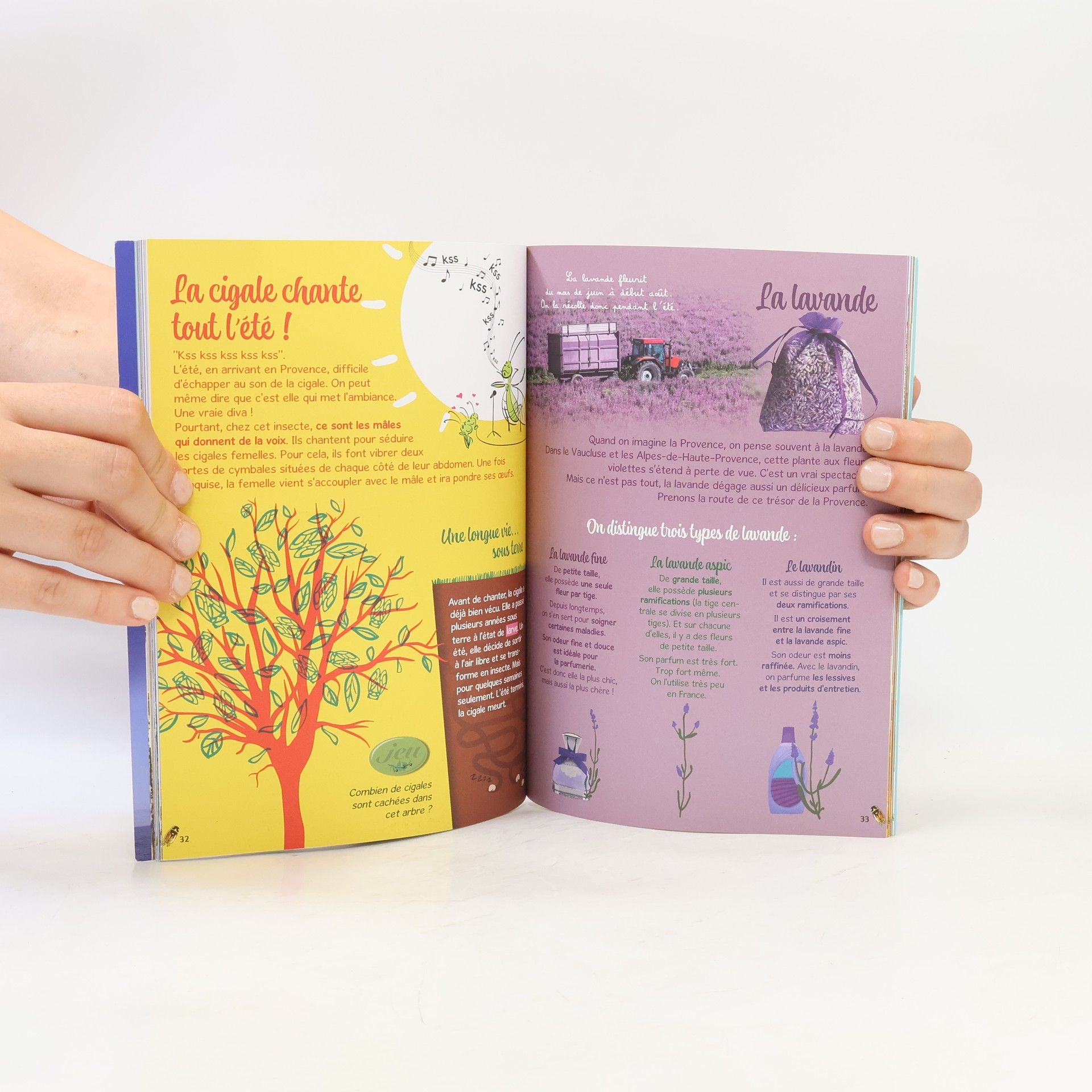 Stéphanie Bioret Livre Jeux et D: La Provence des enfants - 64 pages de jeux pour découvrir la Provence !
