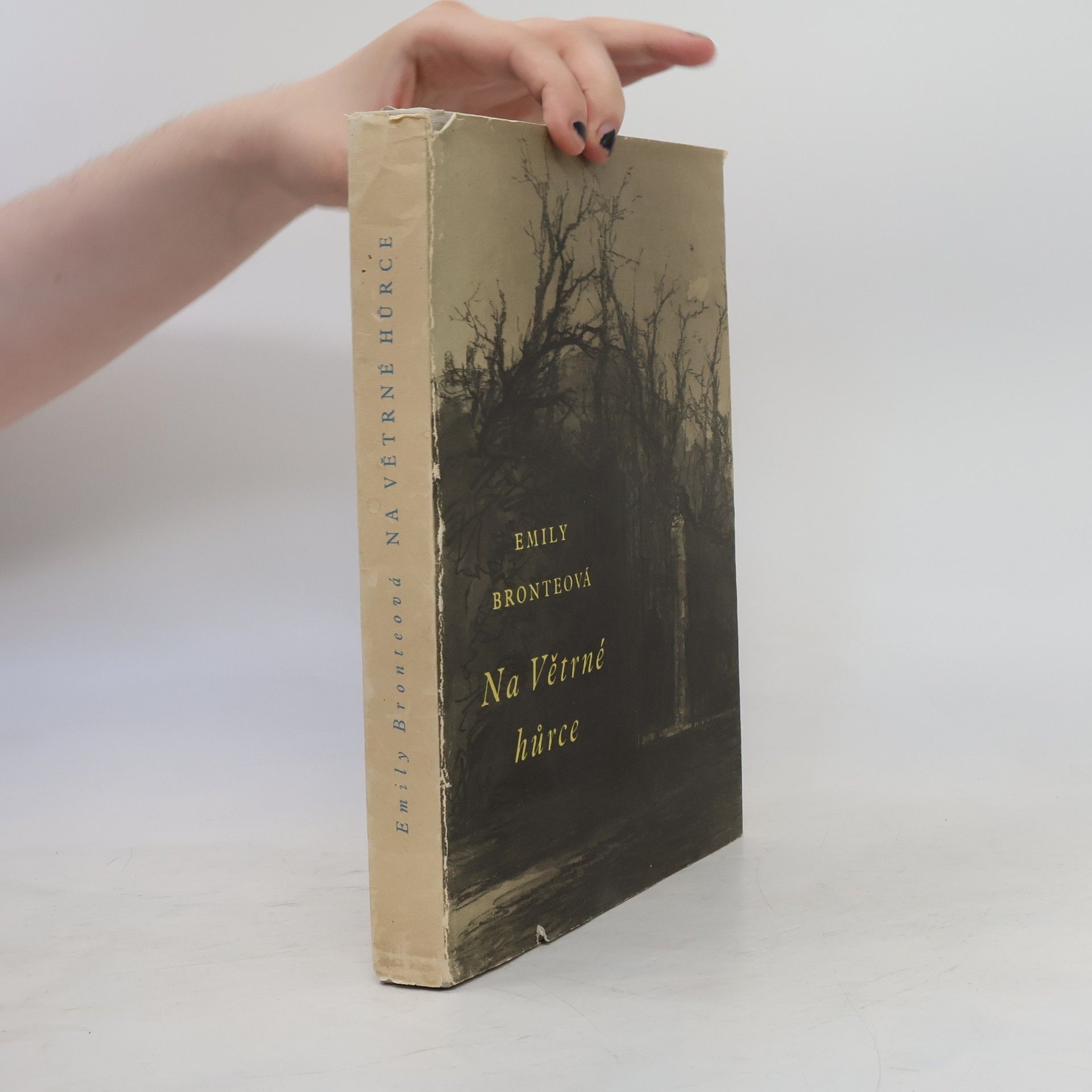 Emily Brontë Na Větrné hůrce