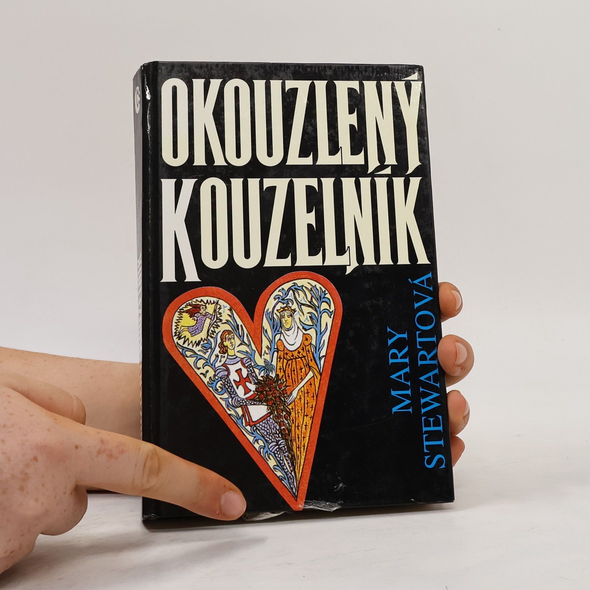 Mary Florence Elinor Rainbow Okouzlený kouzelník