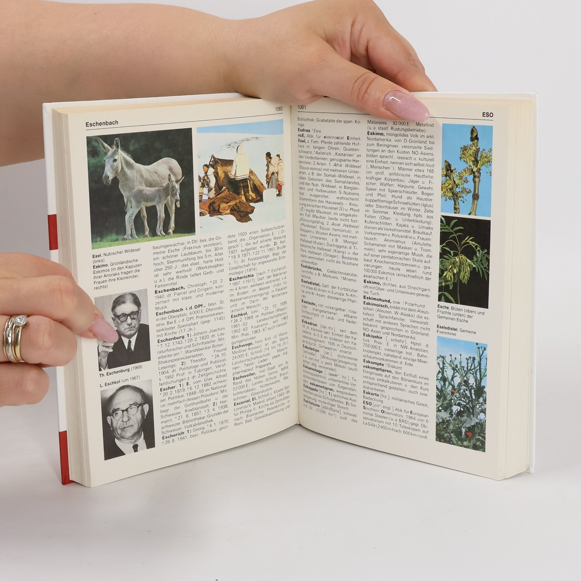 Various authors Das neue Duden-Lexikon 3 Drai-Frid