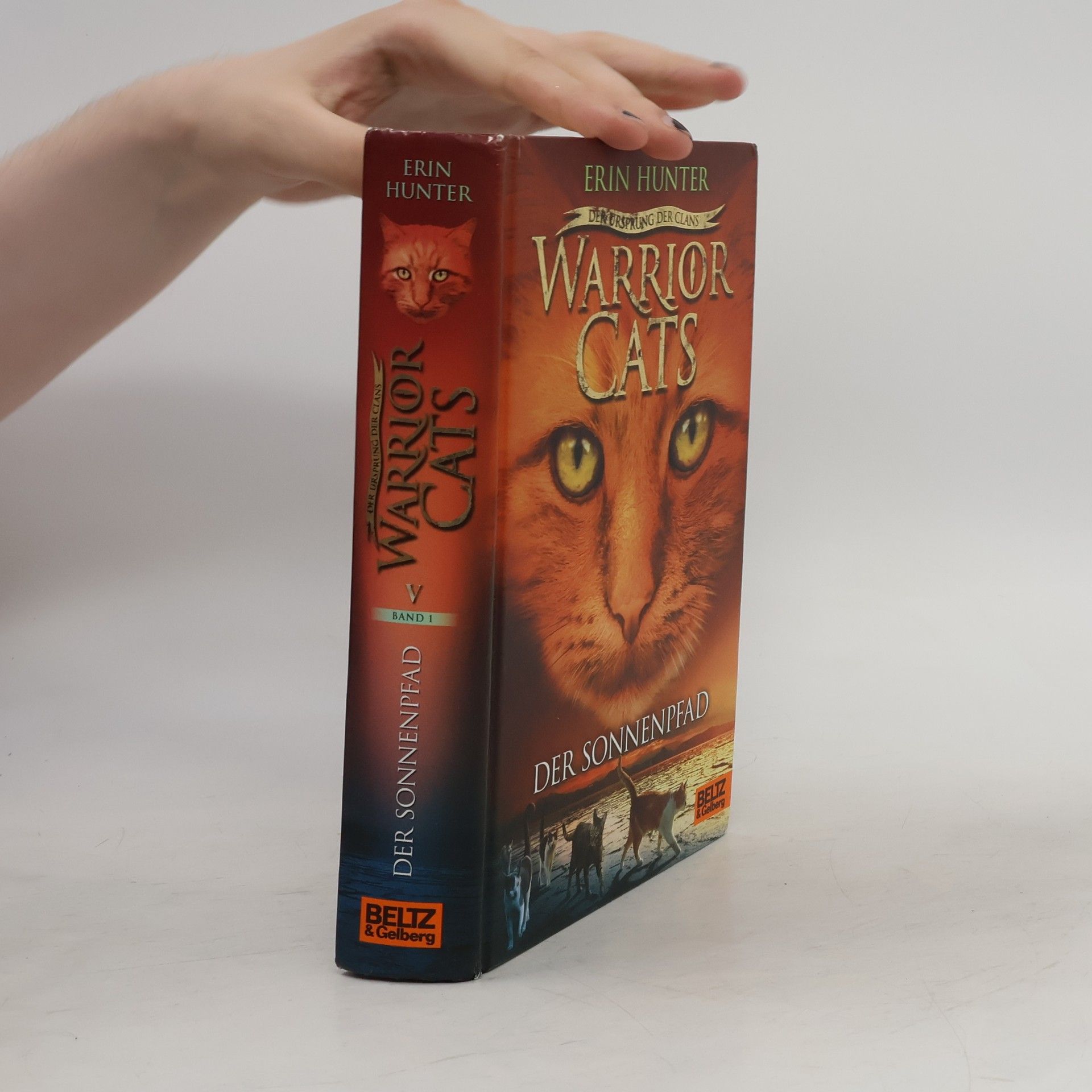 Erin Hunter Der Sonnenpfad