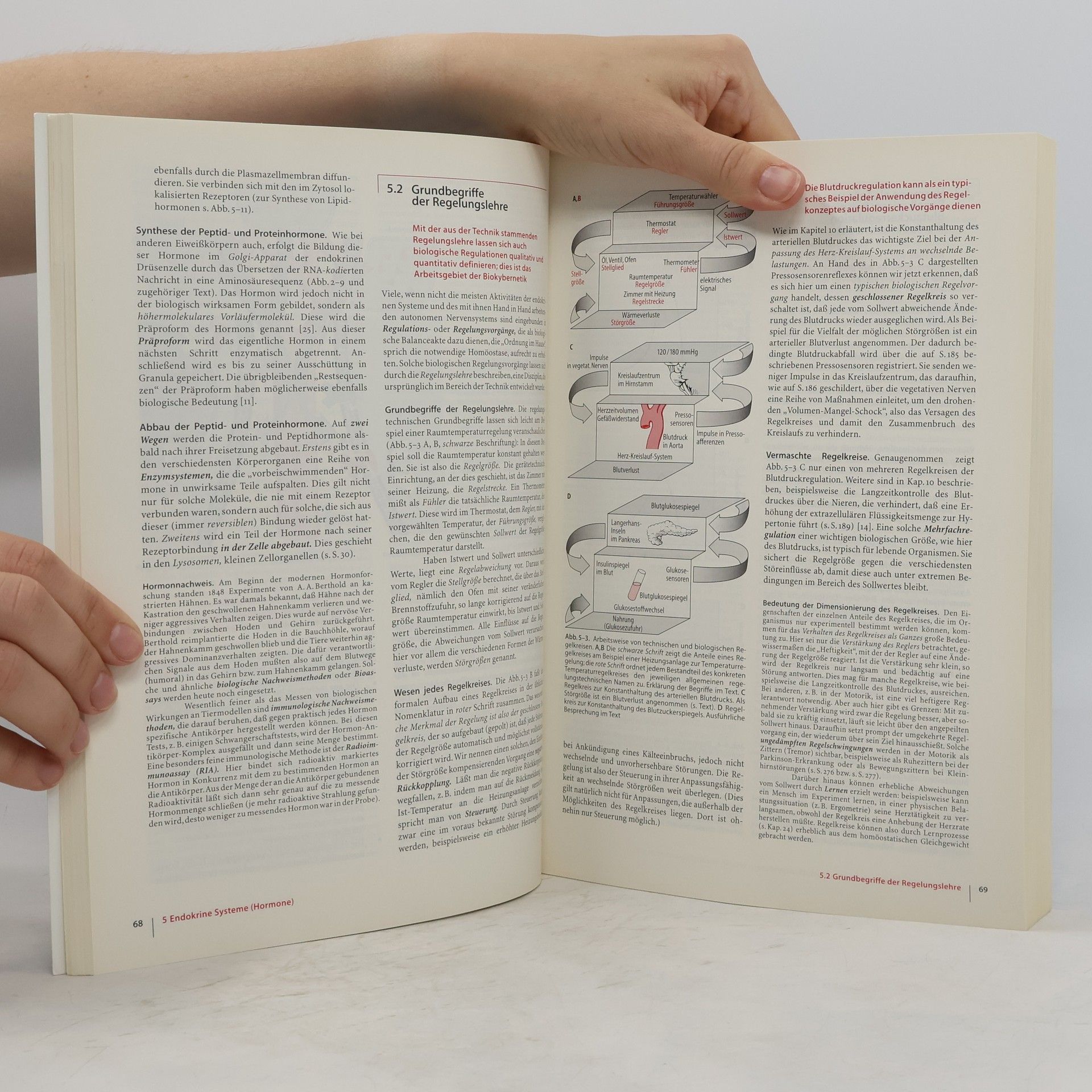 Niels Birbaumer Biologische Psychologie