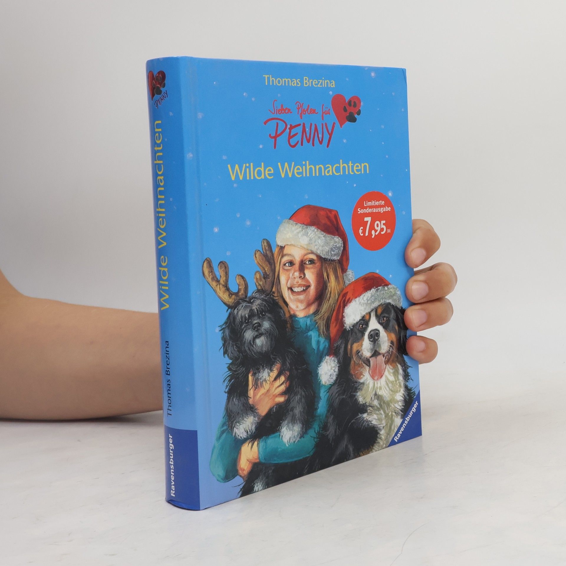 Thomas Brezina Wilde Weihnachten