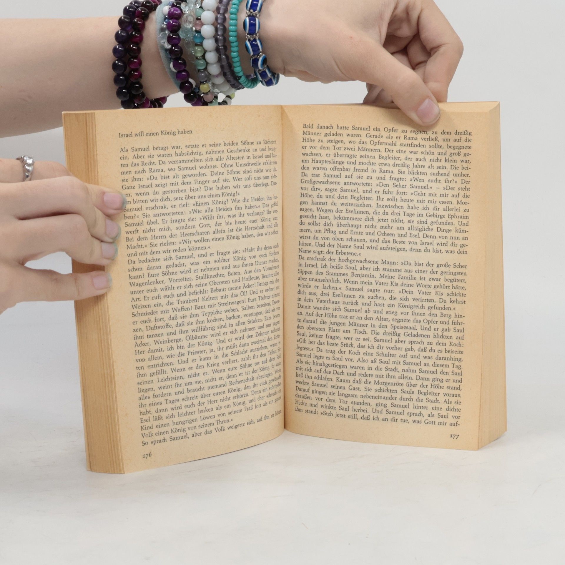 Octavio Kant Die Biblische Geschichte