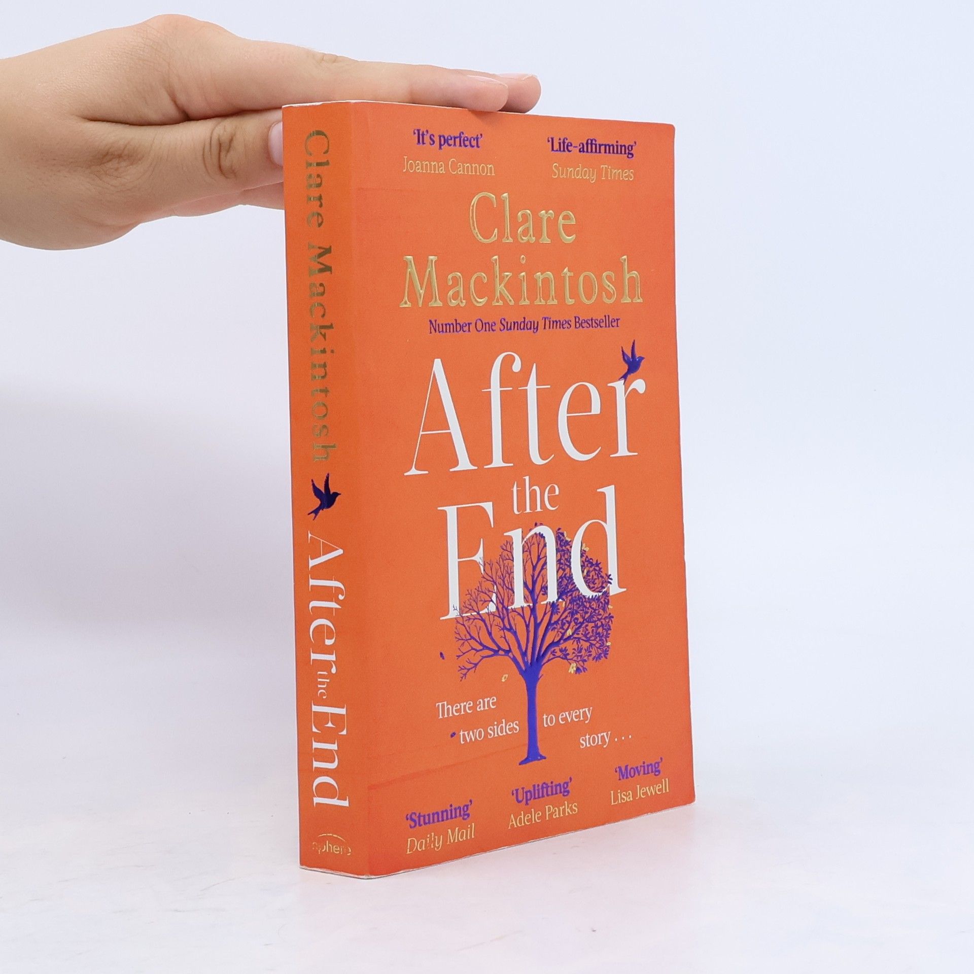 Clare Mackintosh After the End