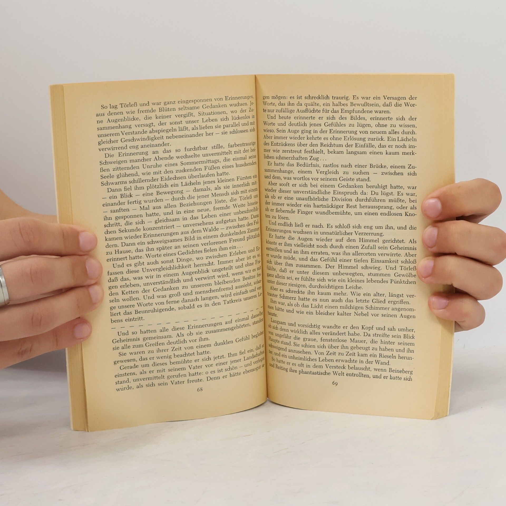 Robert Musil Die Verwirrungen des Zöglings Törless