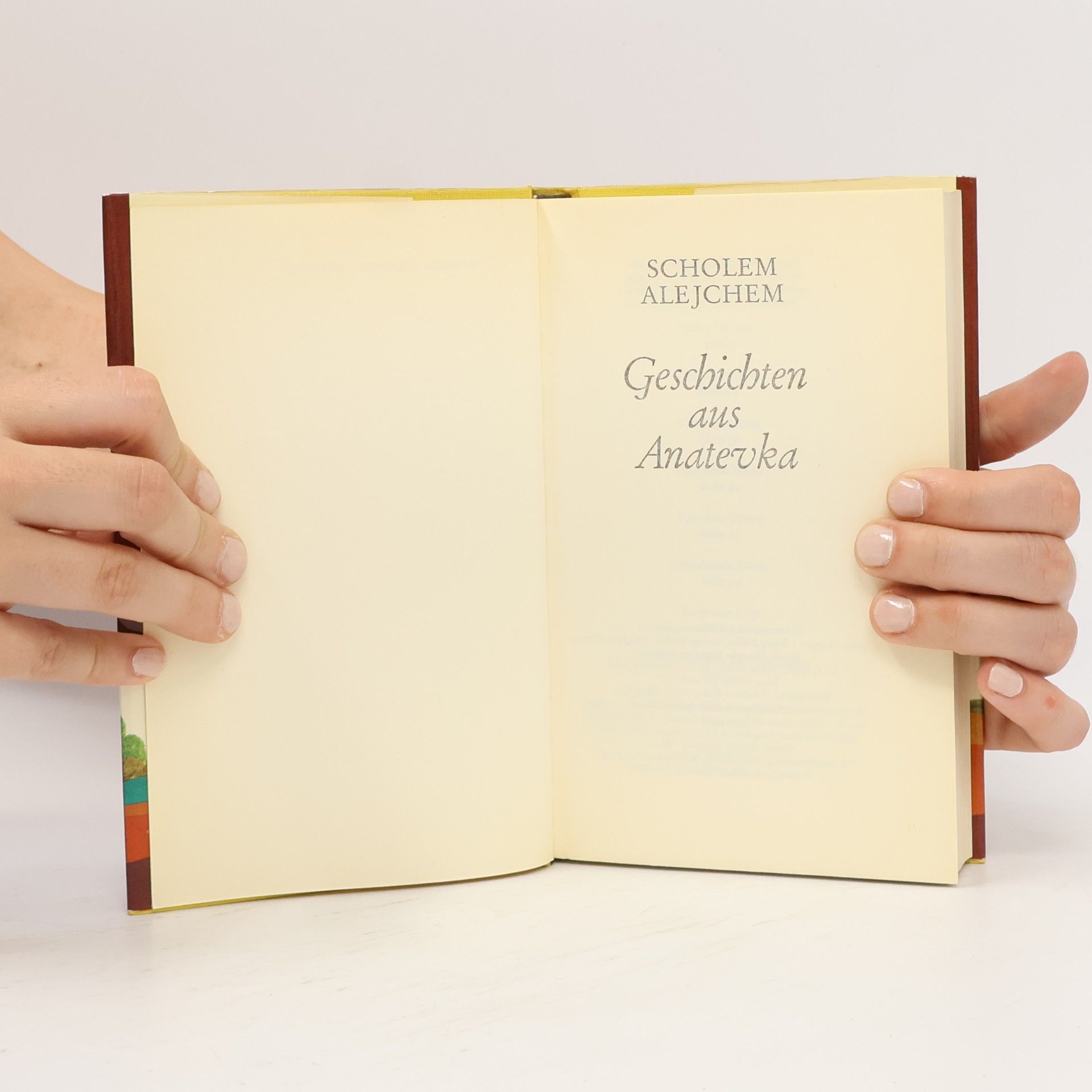 Scholem Alejchem Geschichten aus Anatevka