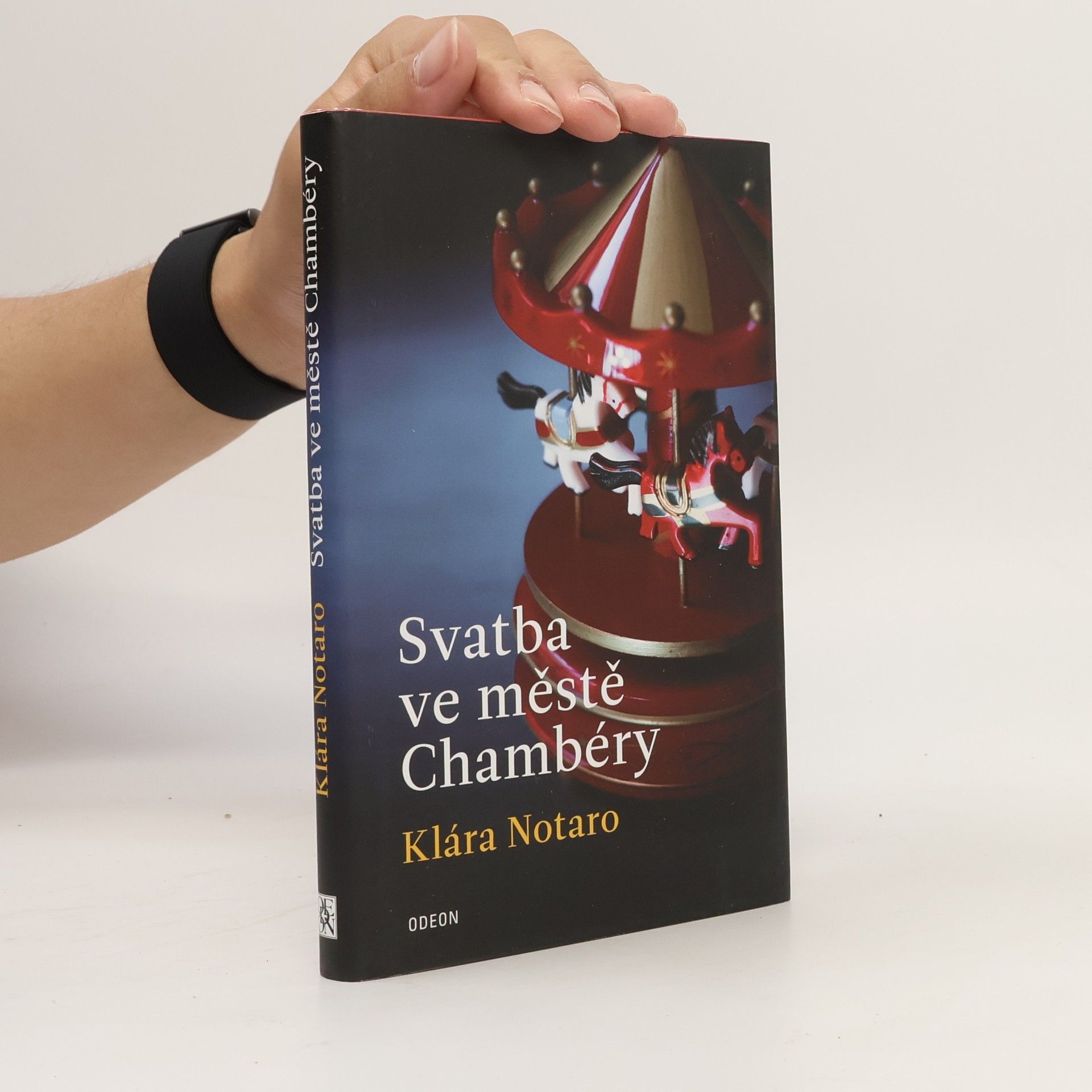 Svatba ve městě Chambéry