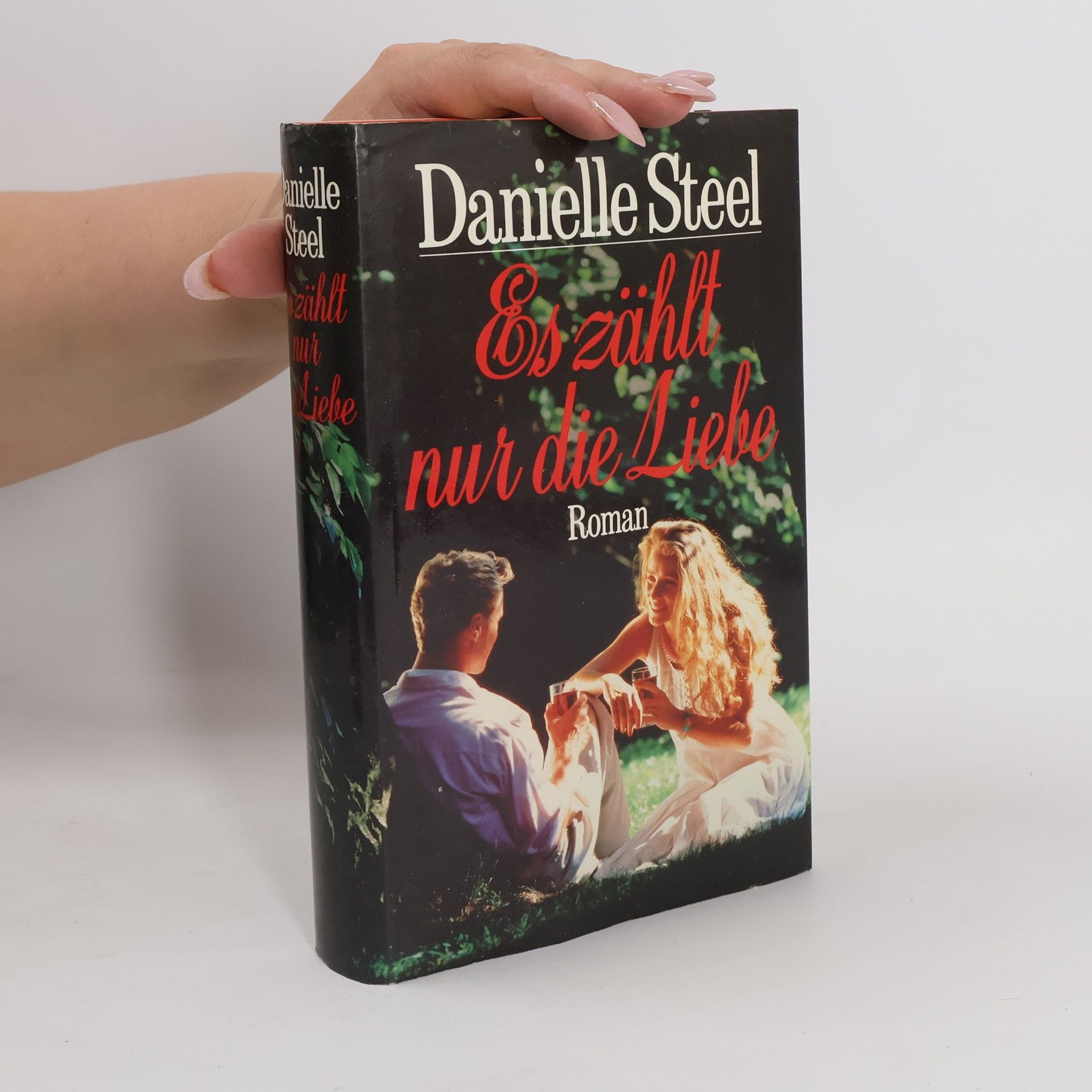 Danielle Steel Es zählt nur die Liebe