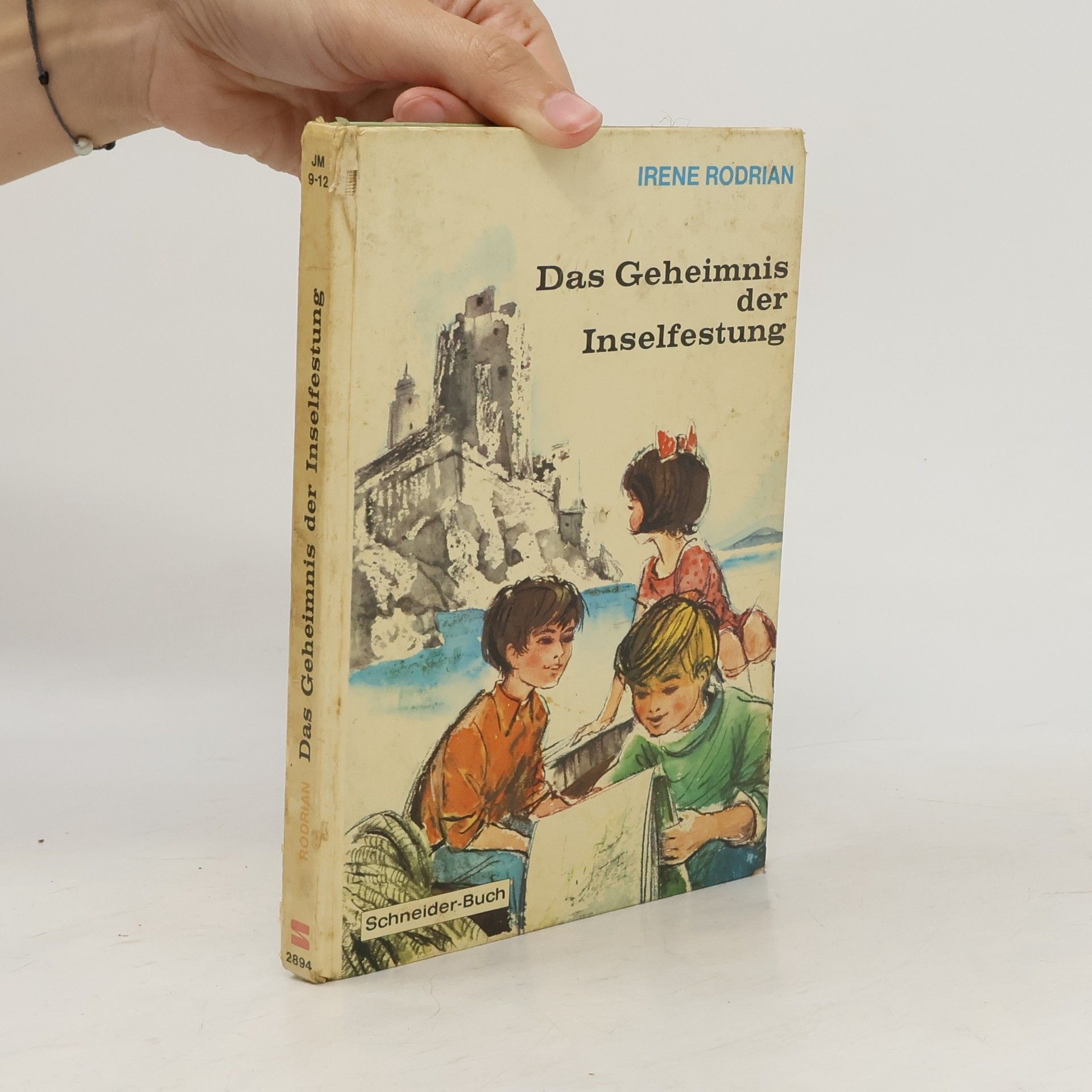 Das Geheimnis der Inselfestung
