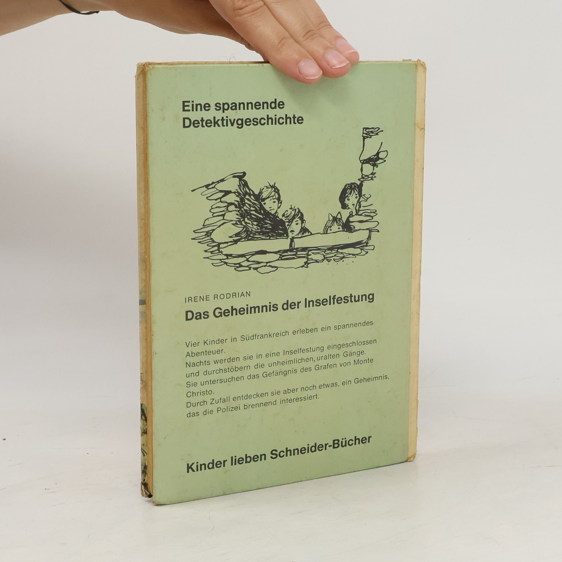 Irene Rodrian Das Geheimnis der Inselfestung