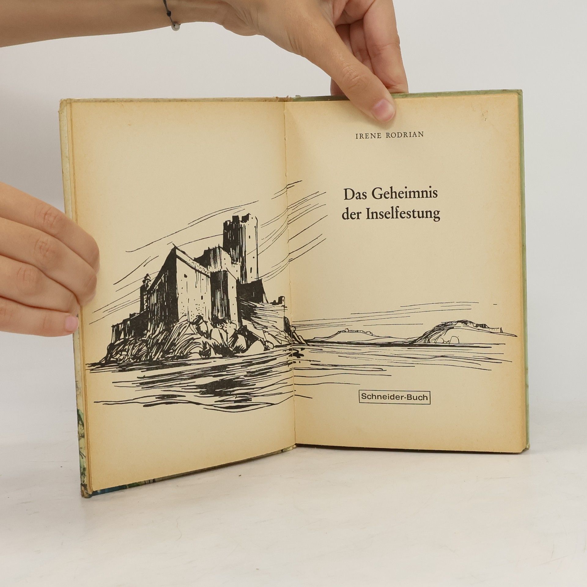 Irene Rodrian Das Geheimnis der Inselfestung