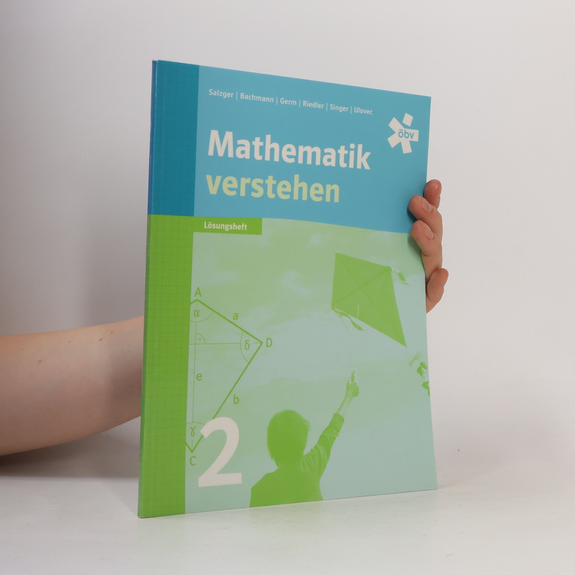 Kolektiv autorů Mathematik verstehen 2
