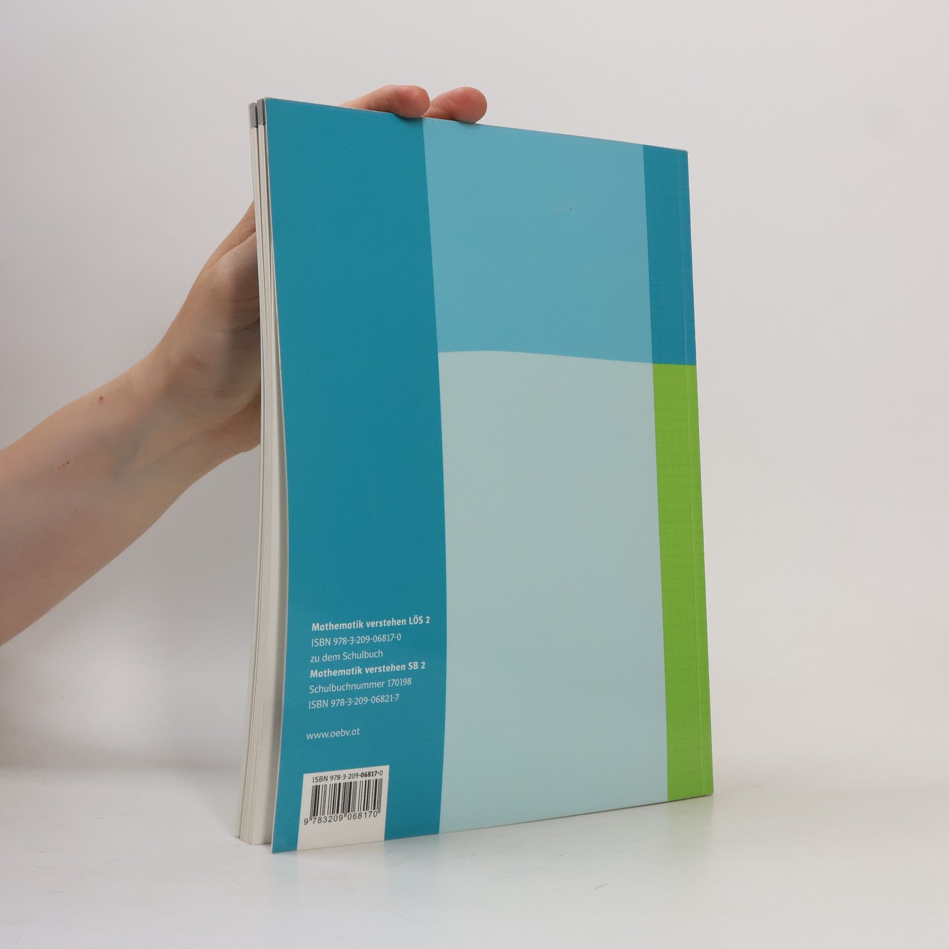 Autorenkollektiv Mathematik verstehen 2