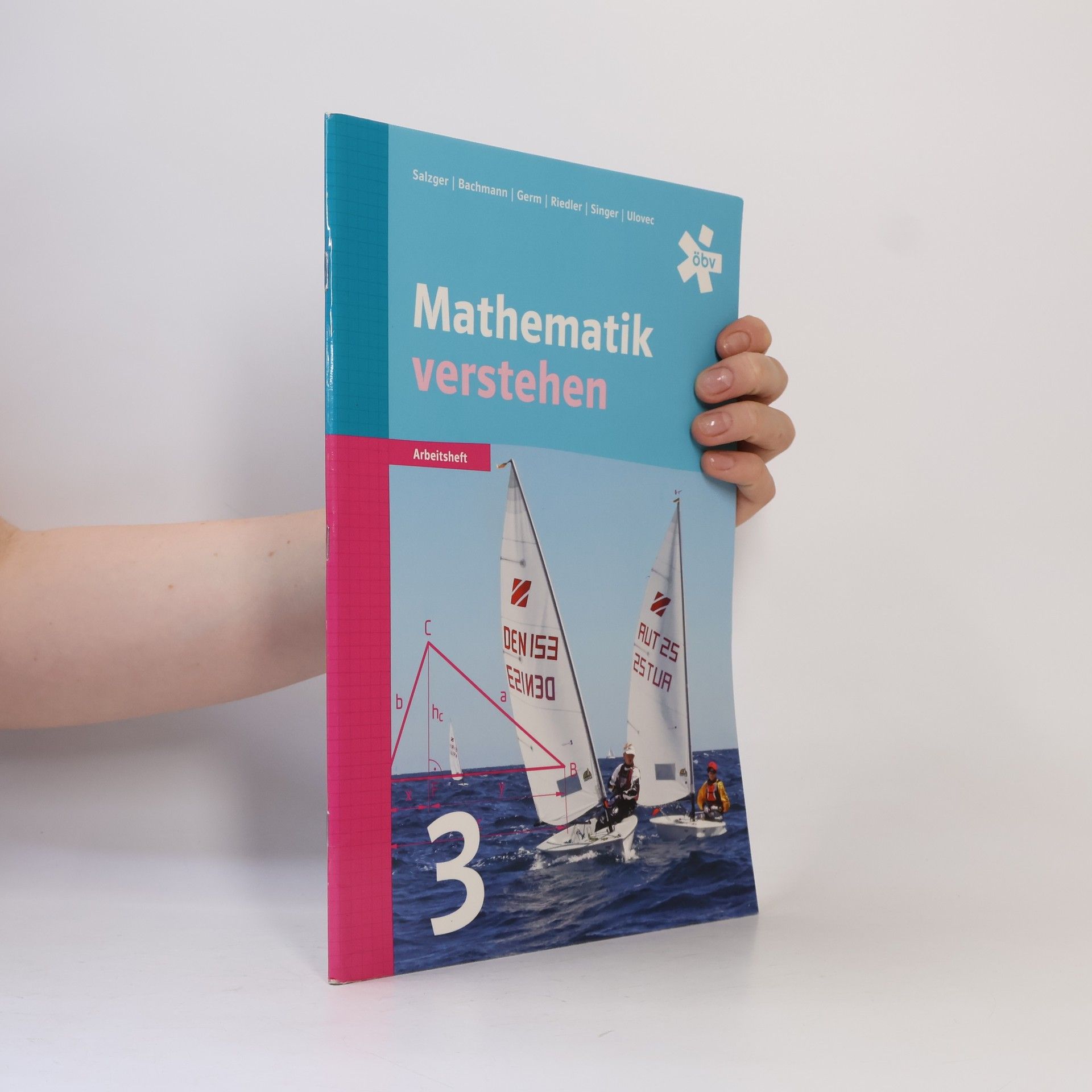 Mathematik verstehen