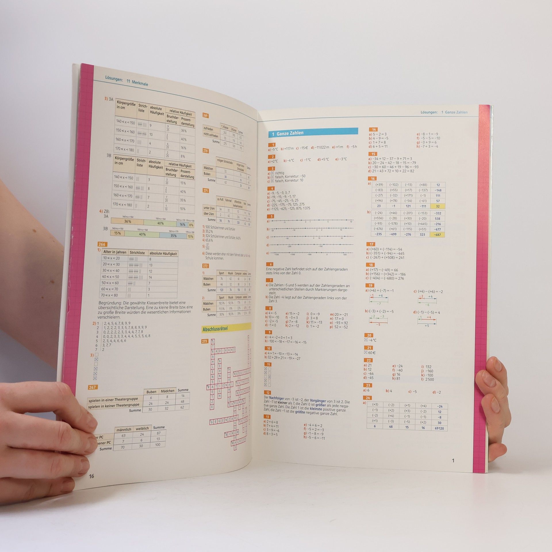 Bernhard Salzger Mathematik verstehen