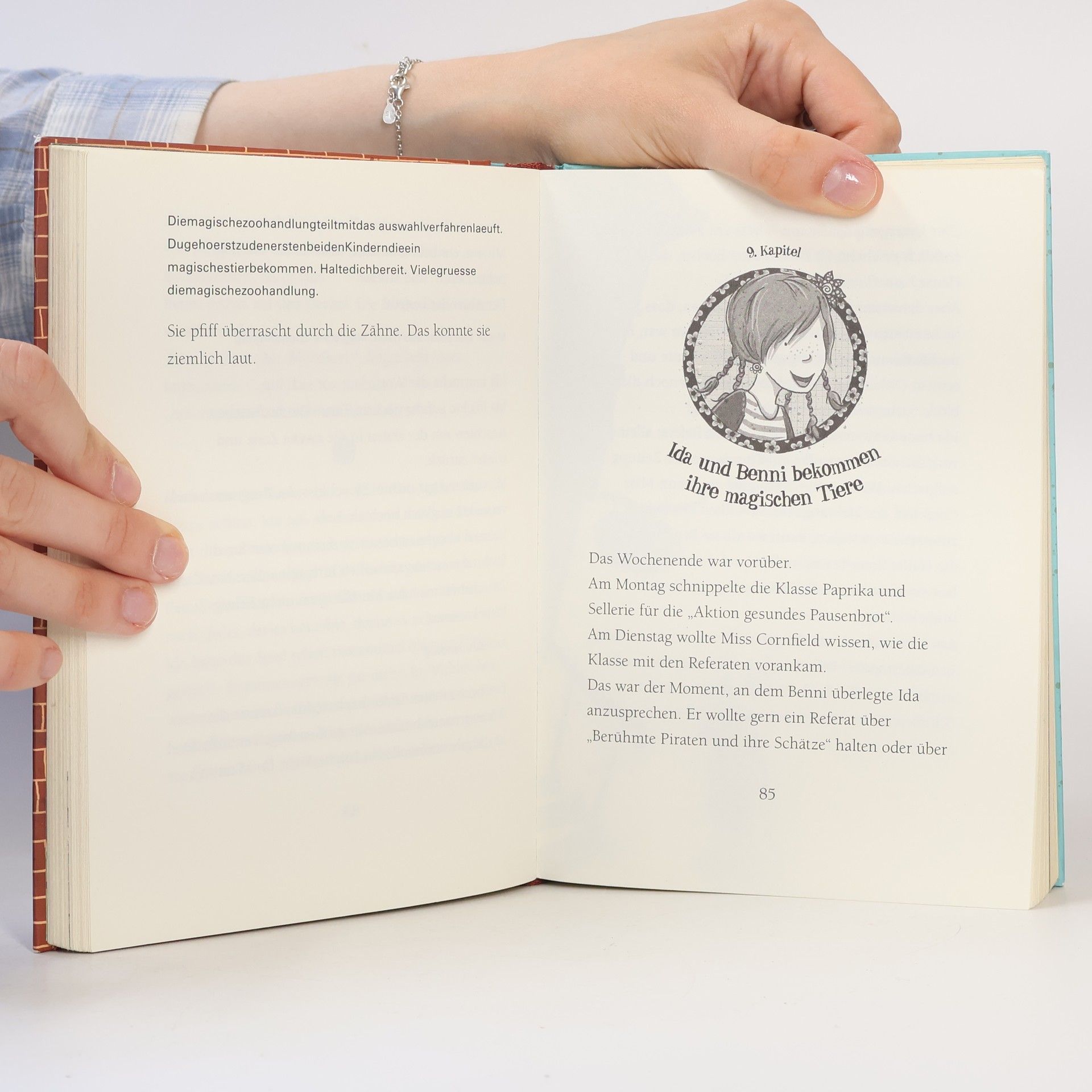 Margit Auer Die Schule der magischen Tiere 1