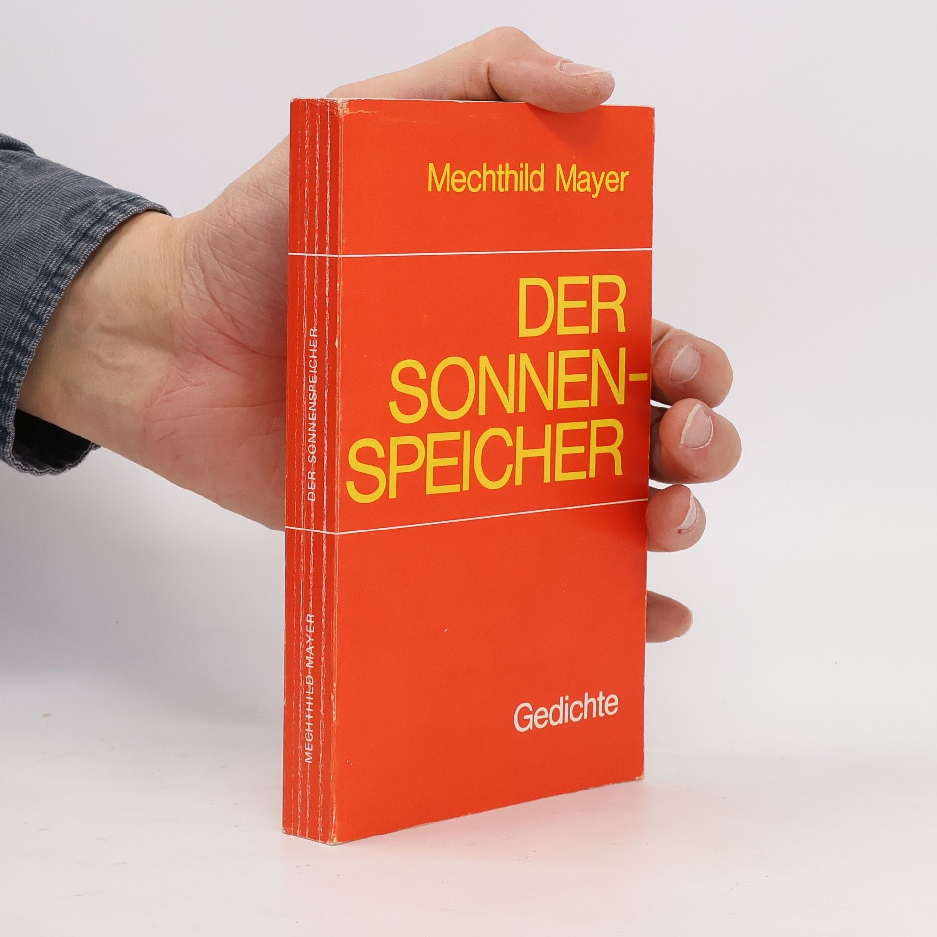 Mechthild Mayer Der Sonnenspeicher