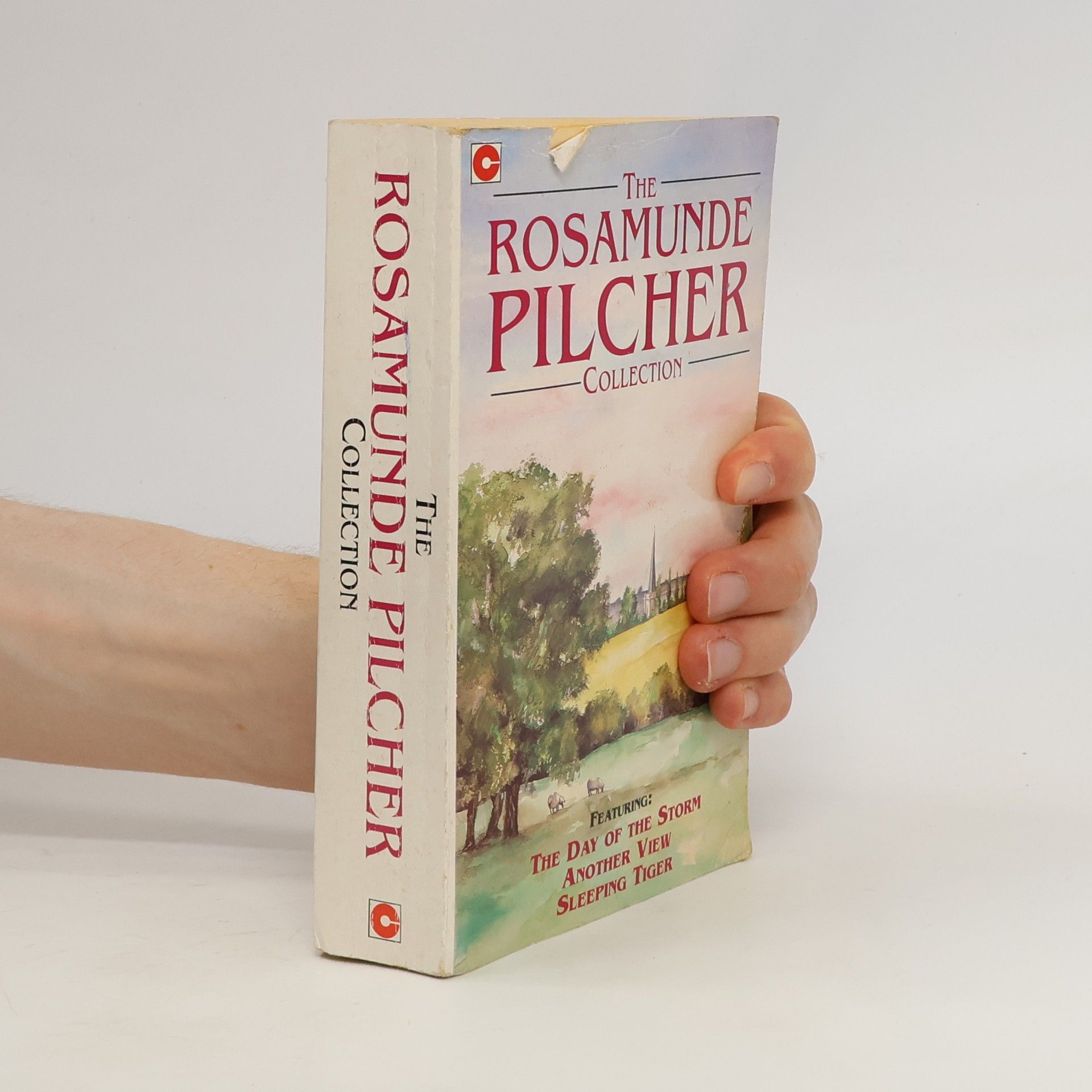 Rosamunde Pilcher The Rosamunde Pilcher collection
