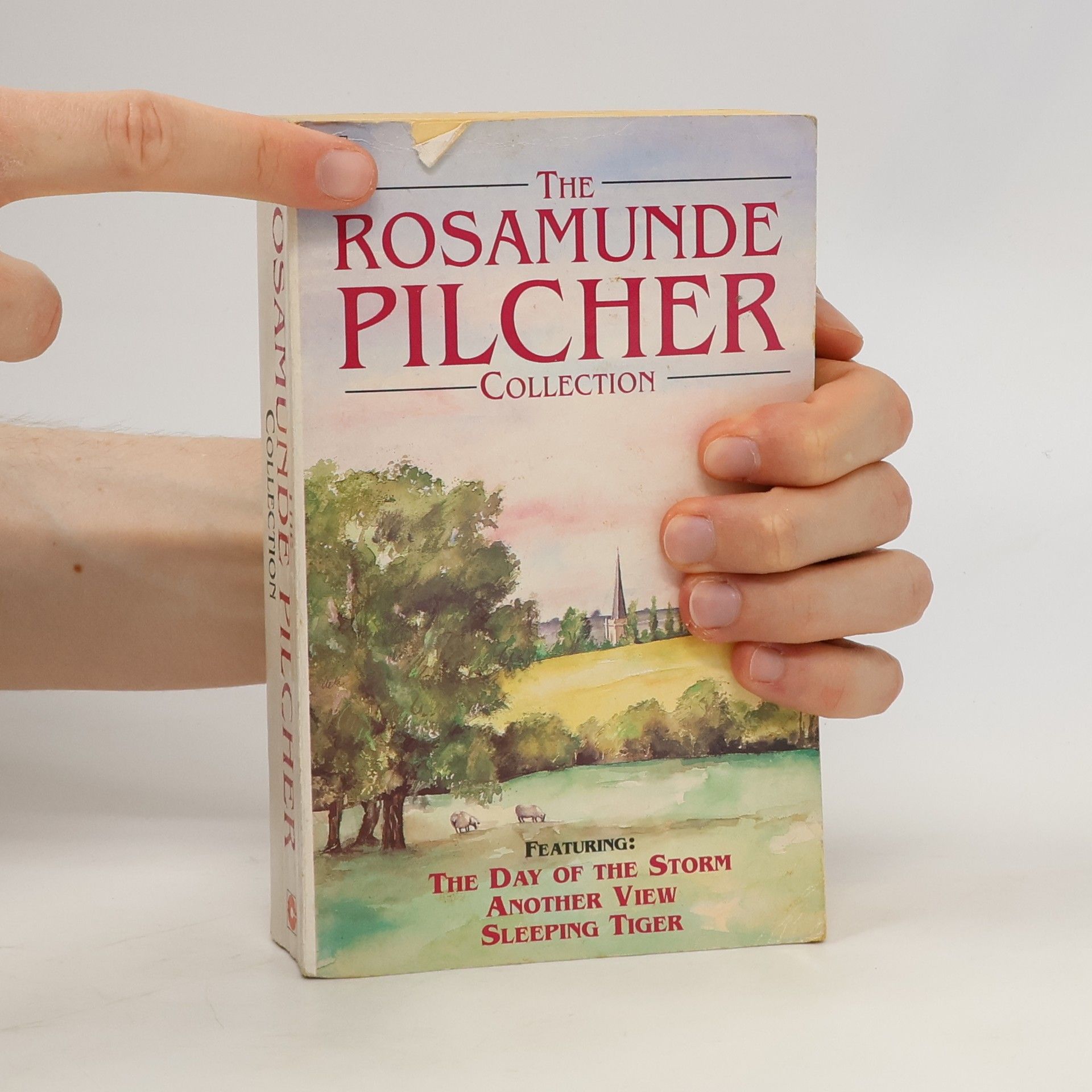 Rosamunde Pilcher The Rosamunde Pilcher collection