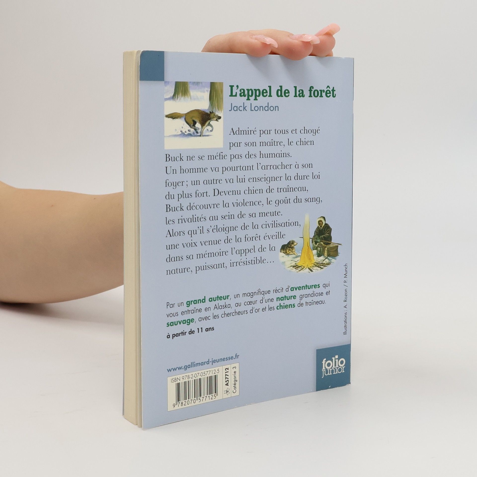 Jack London Folio Junior - 431: L'appel de la forêt