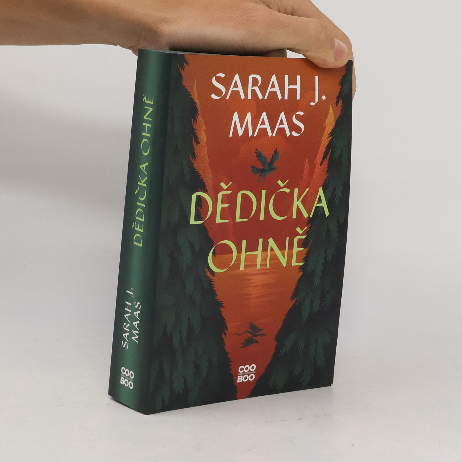 Sarah J. Maas Dědička ohně