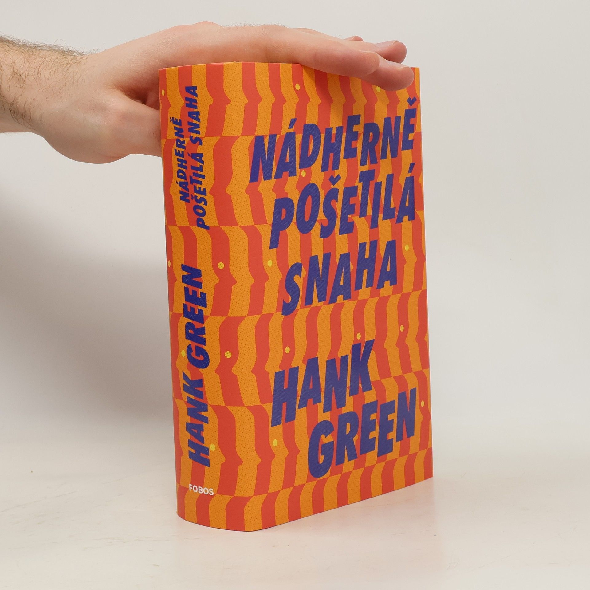Hank Green Nádherně pošetilá snaha