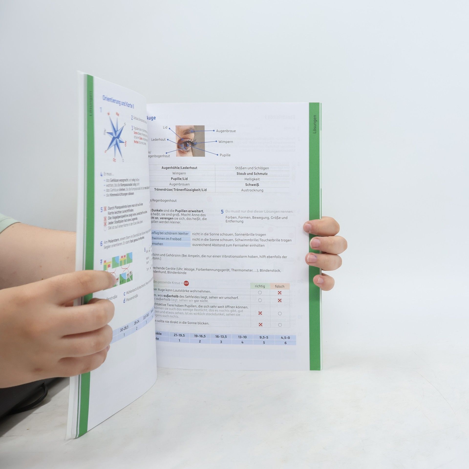 Andrea Guckel Tests im Sachunterricht - Lernzielkontrollen 3. Klasse