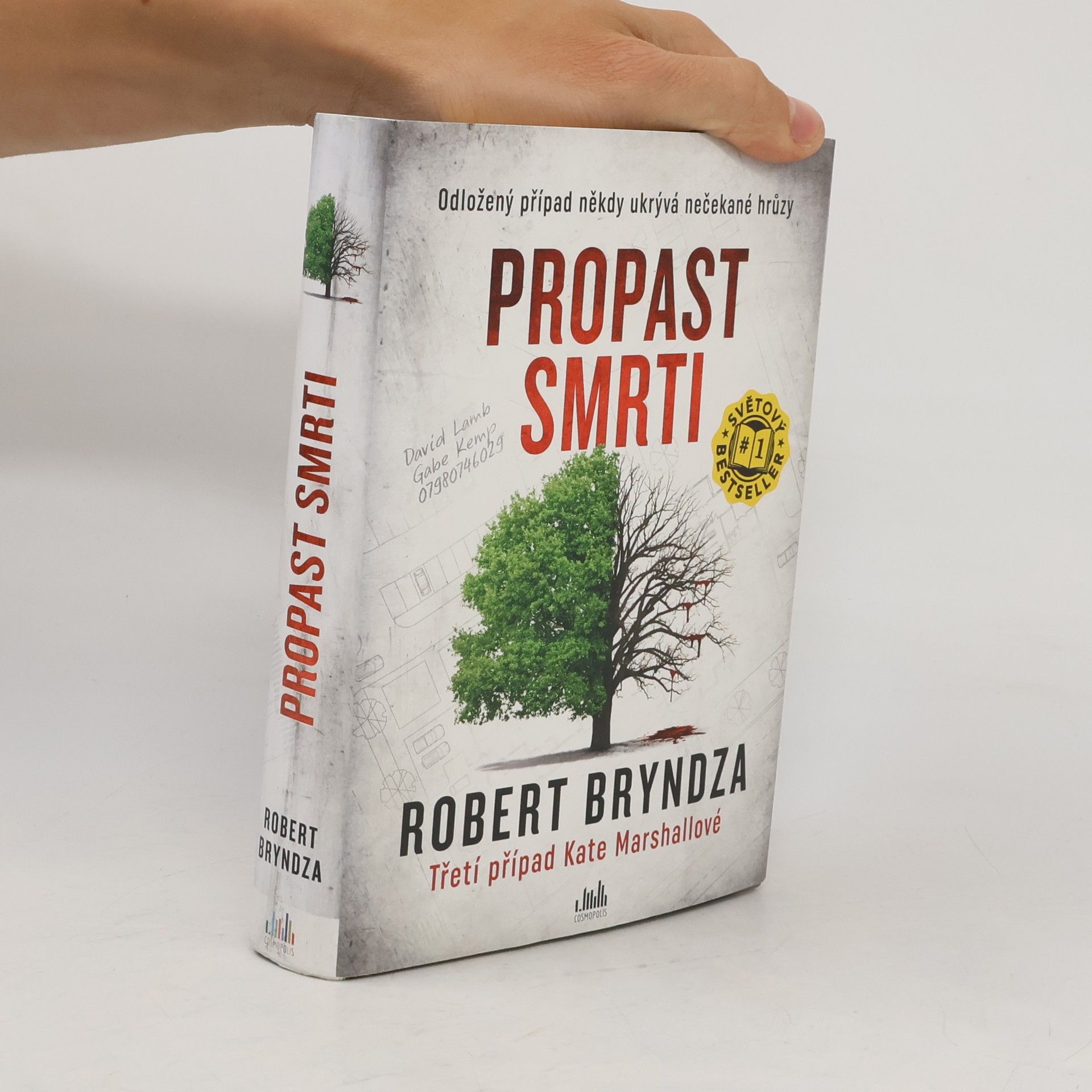 Robert Bryndza Propast smrti